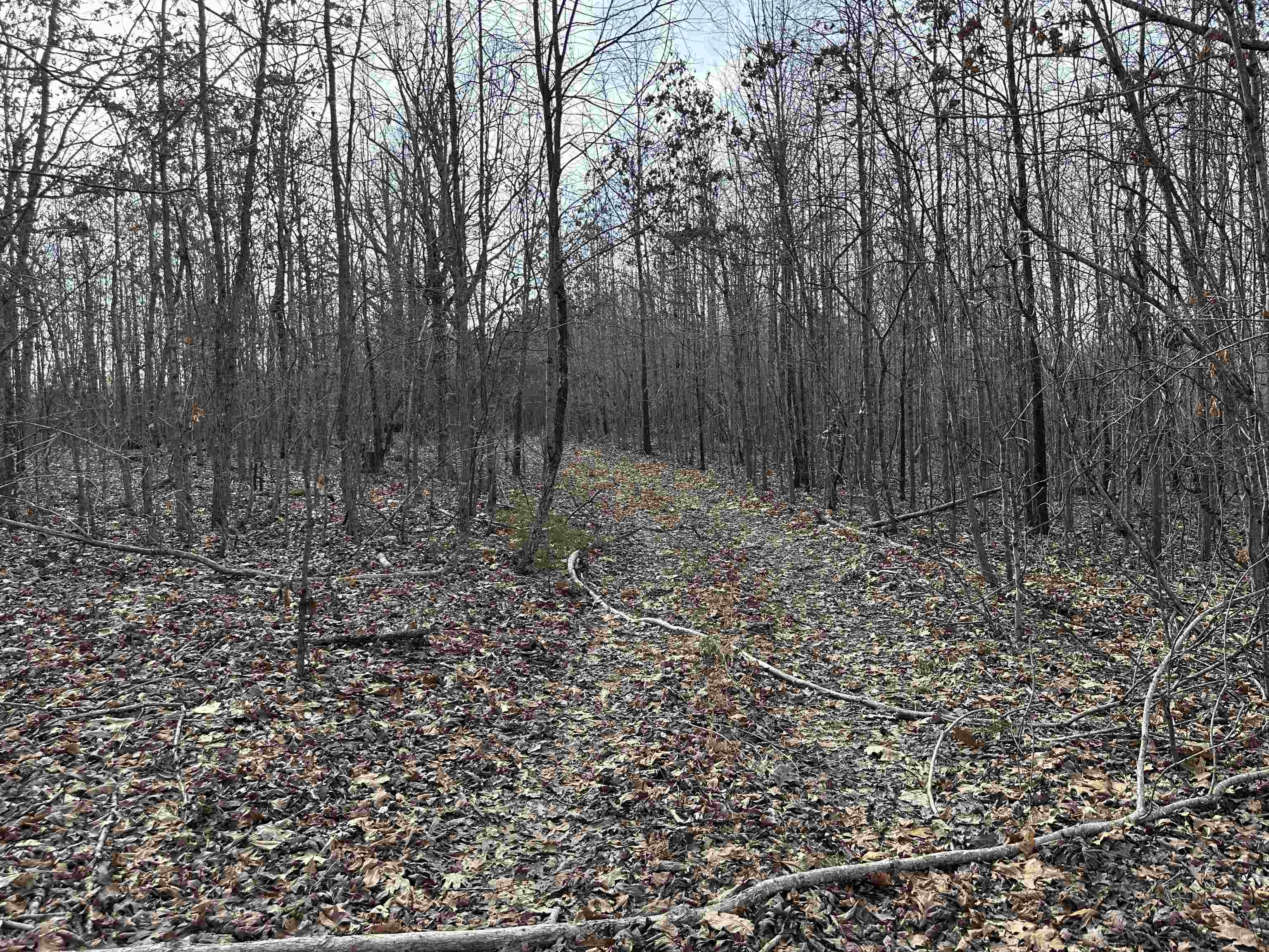 XX N Summit Ridge  Williford, AR