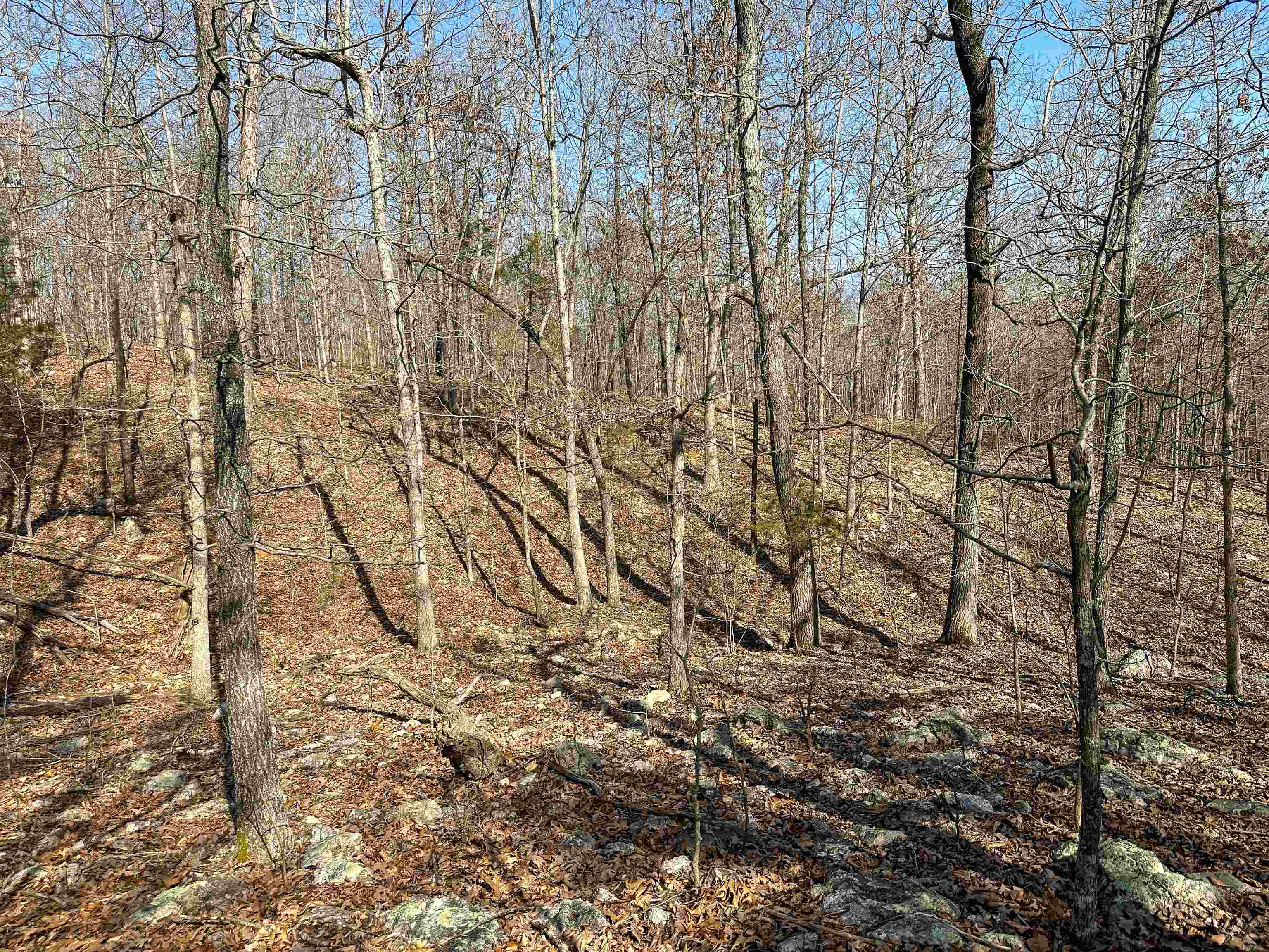 XX N Summit Ridge  Williford, AR