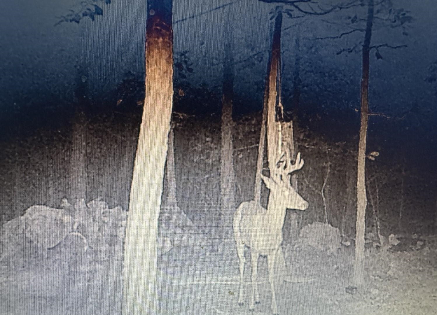 XX N Summit Ridge  Williford, AR