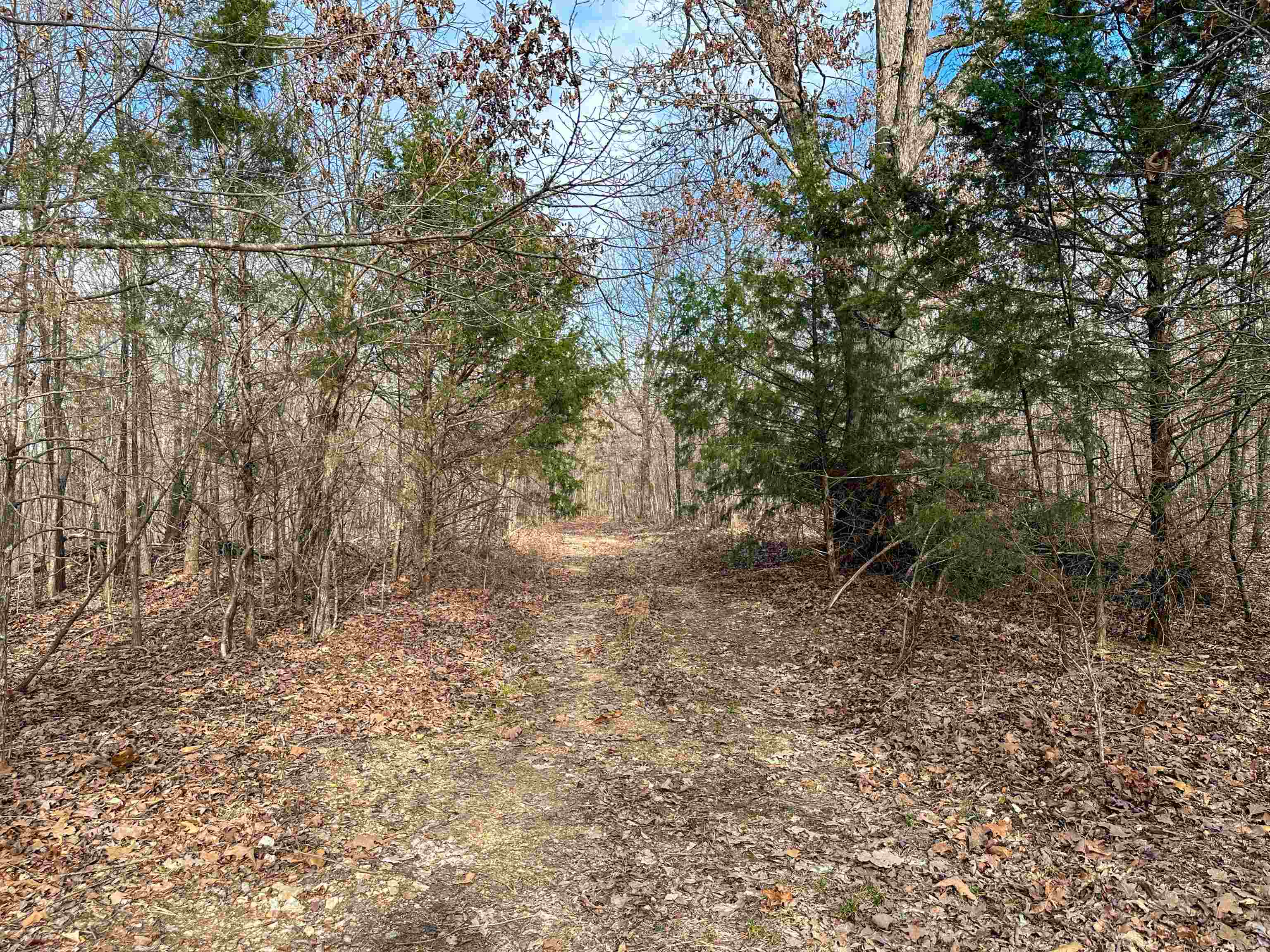 XX N Summit Ridge  Williford, AR