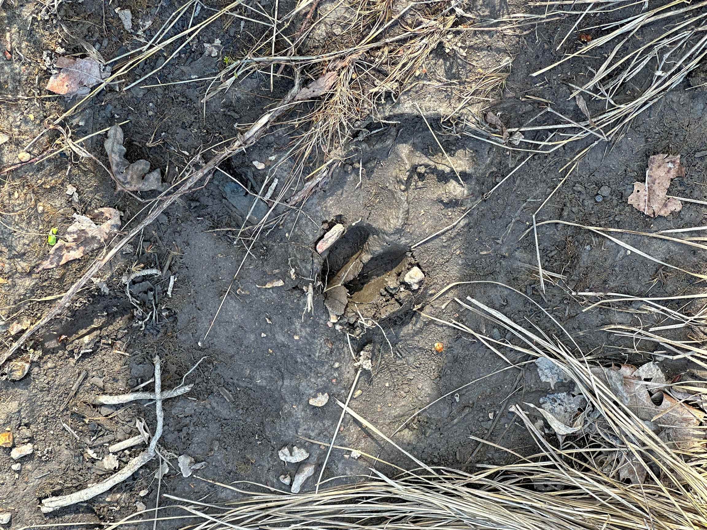 XX N Summit Ridge  Williford, AR