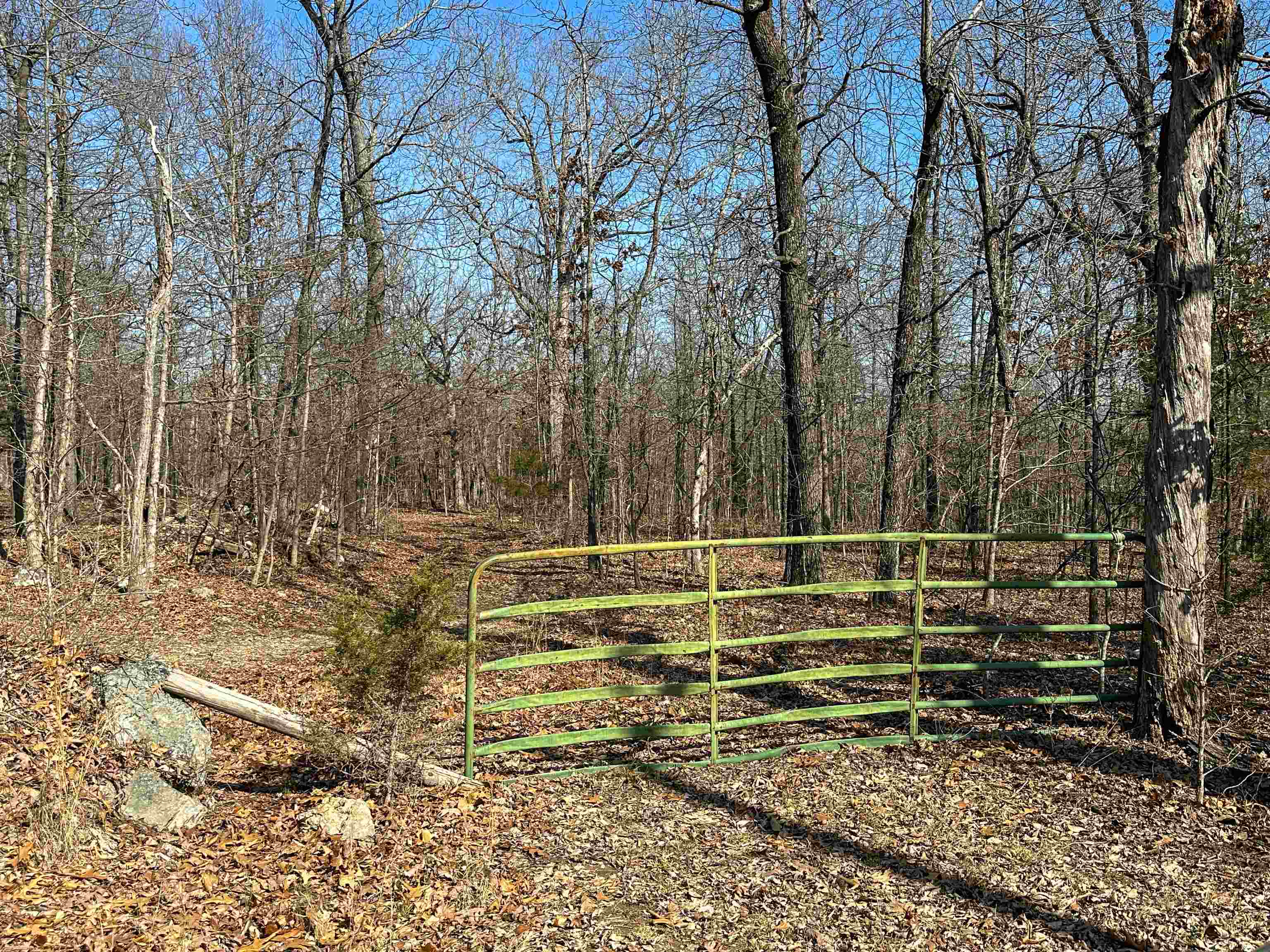 XX N Summit Ridge  Williford, AR