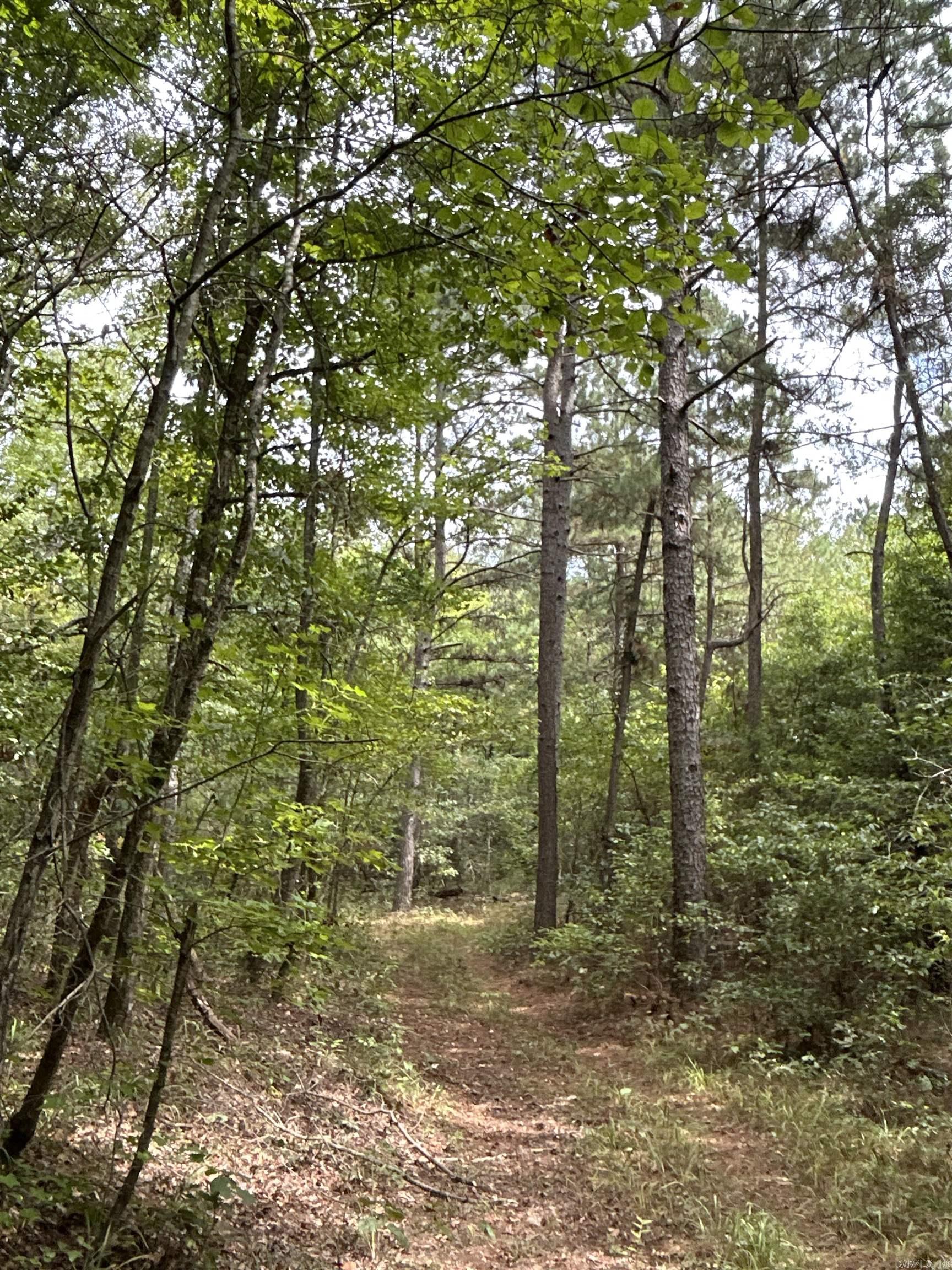 TBD Hwy 57  Chidester, AR