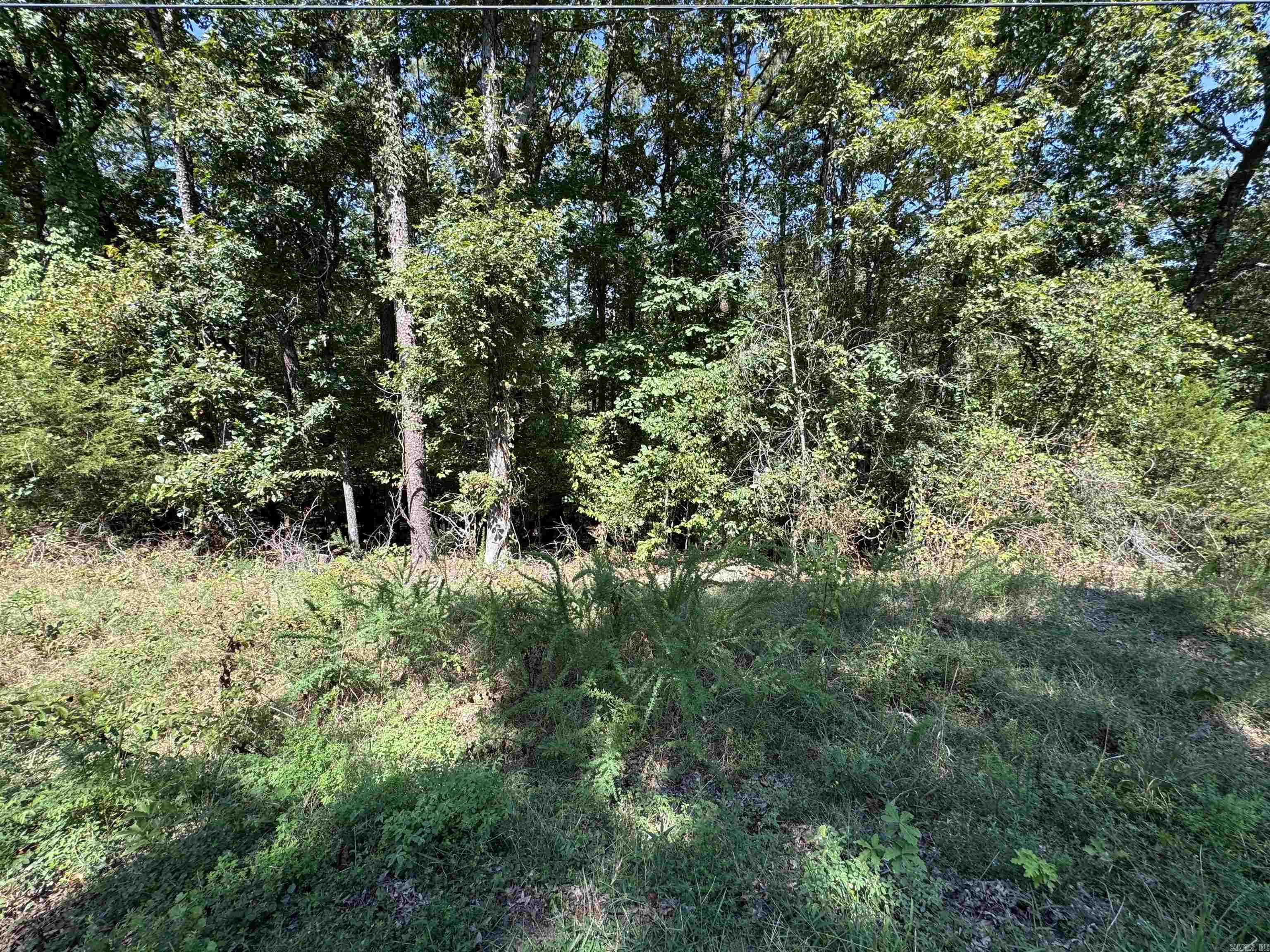 Lot 51 Valhalla  Edgemont, AR