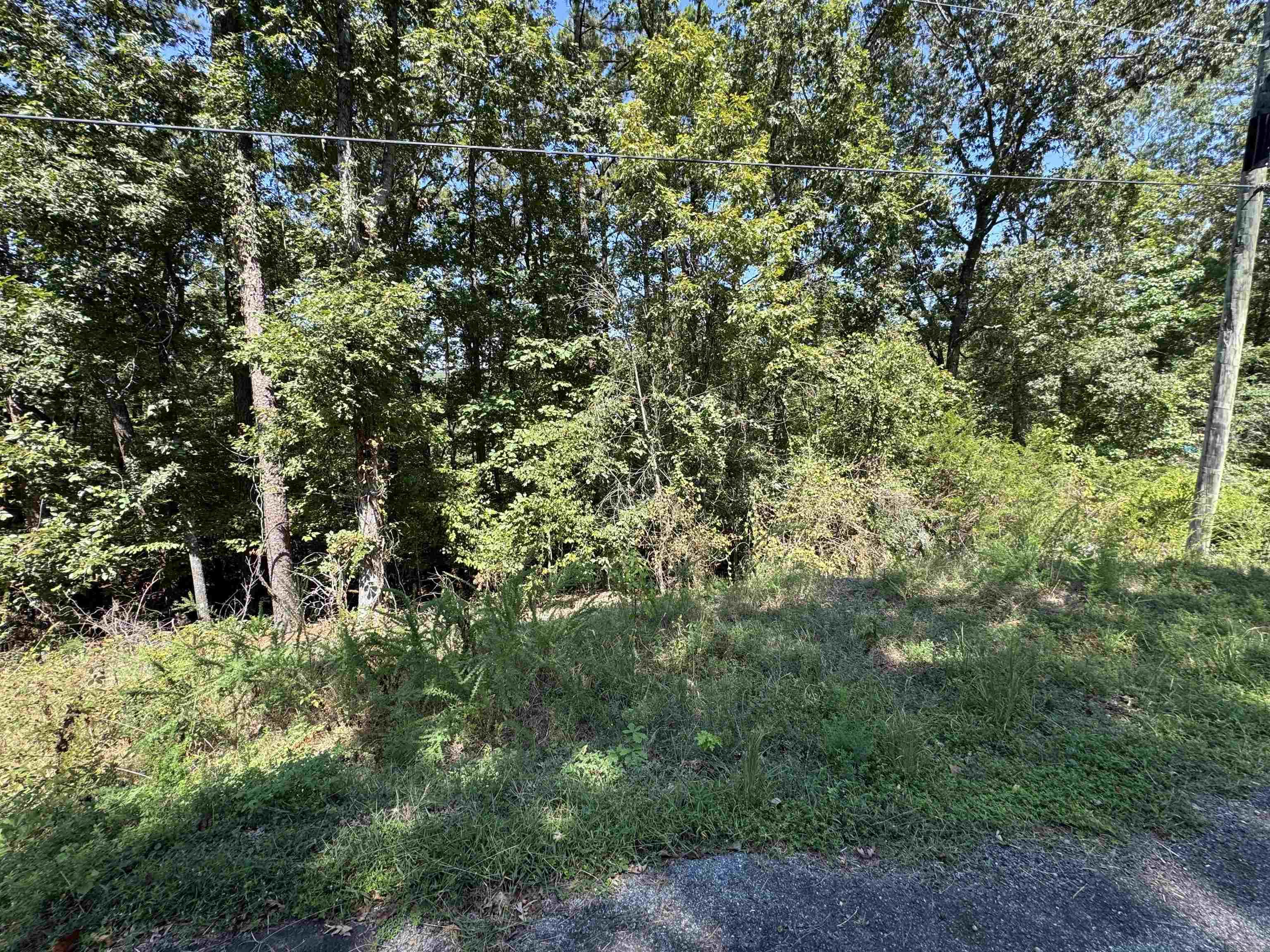 Lot 51 Valhalla  Edgemont, AR