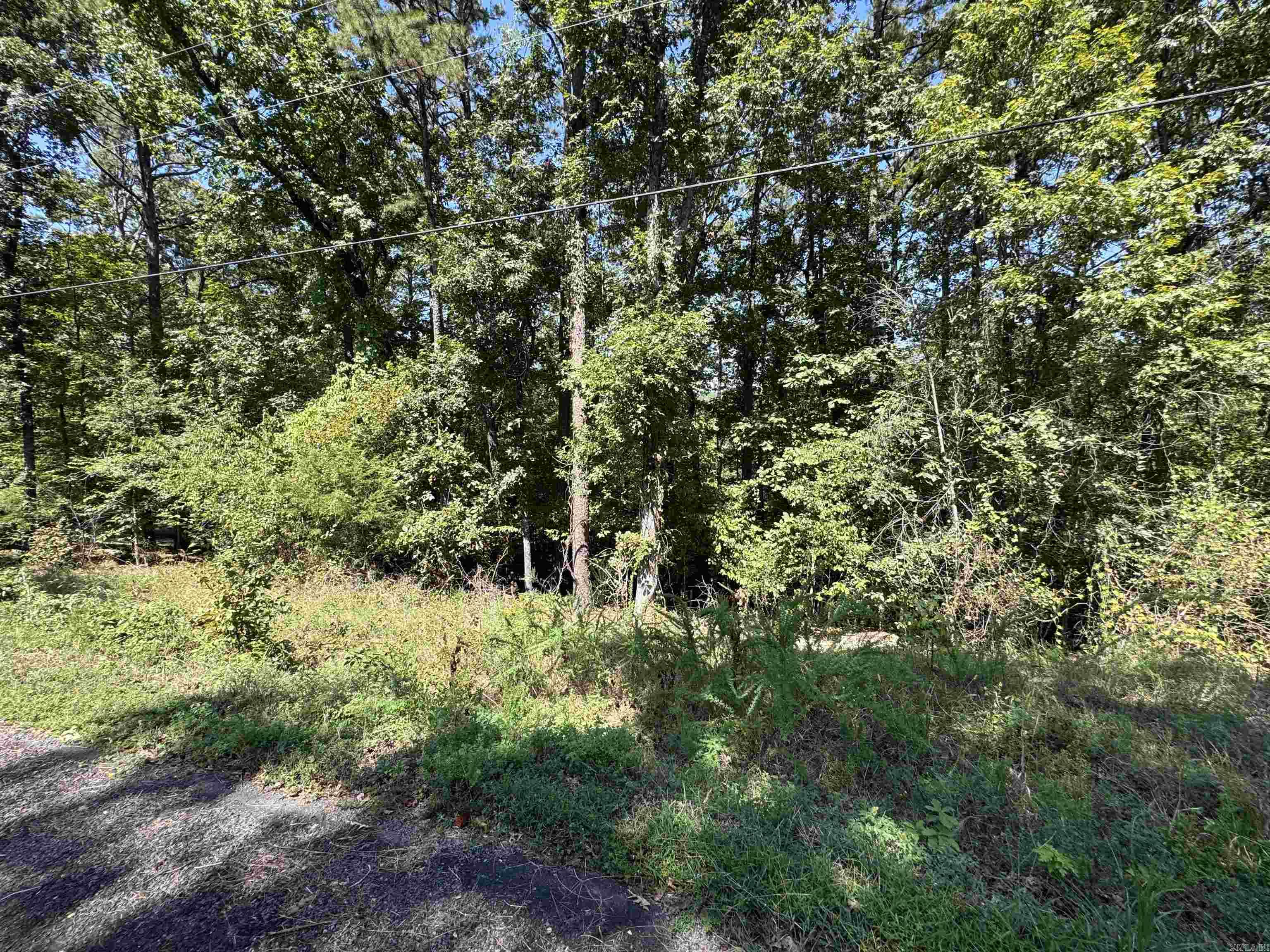 Lot 51 Valhalla  Edgemont, AR