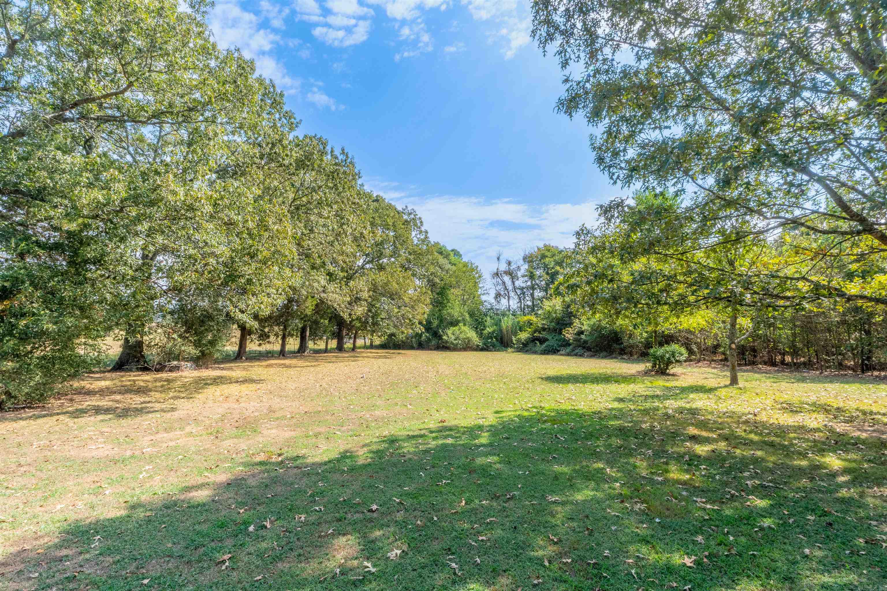 179 Wilf  Pleasant Plains, AR