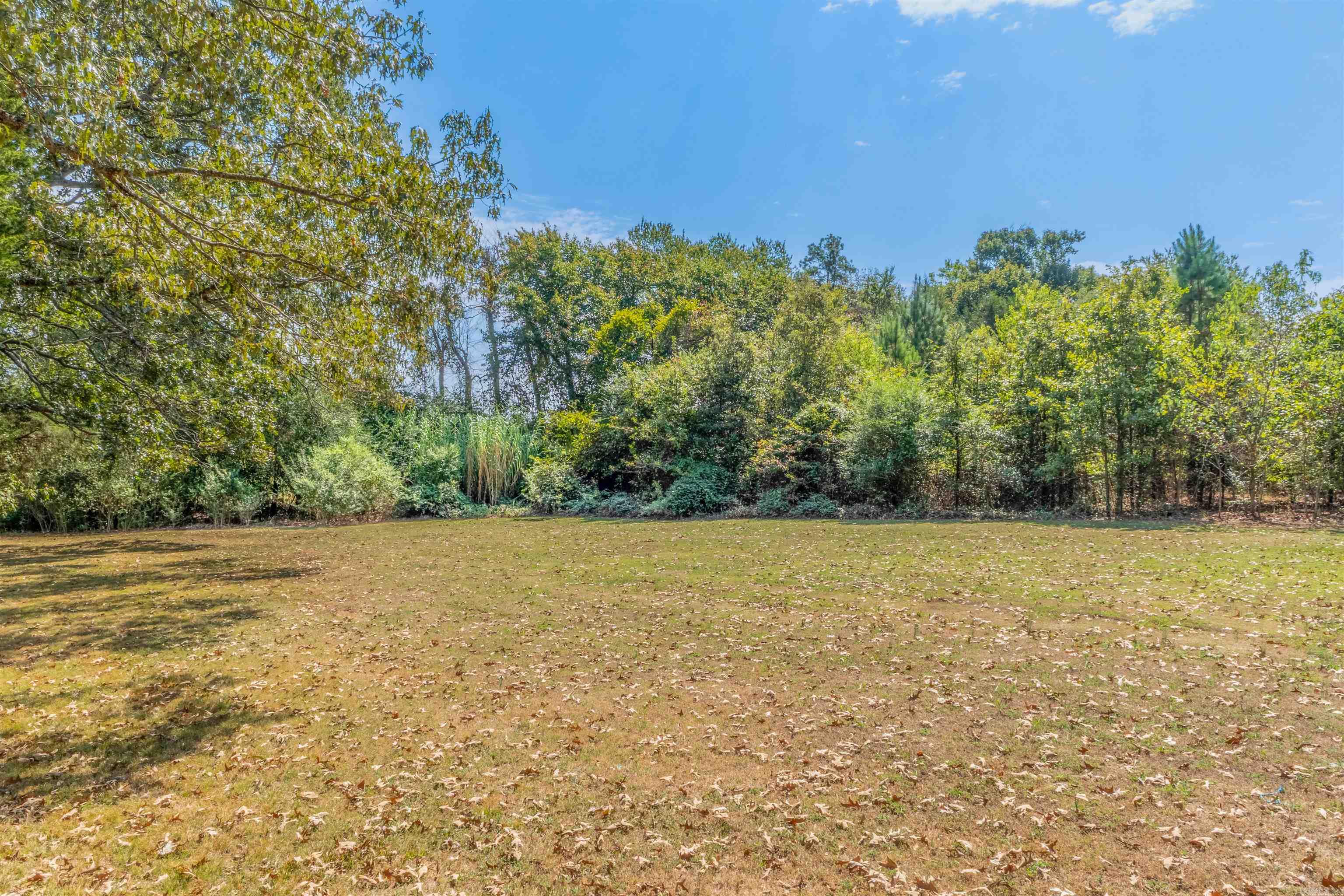179 Wilf  Pleasant Plains, AR