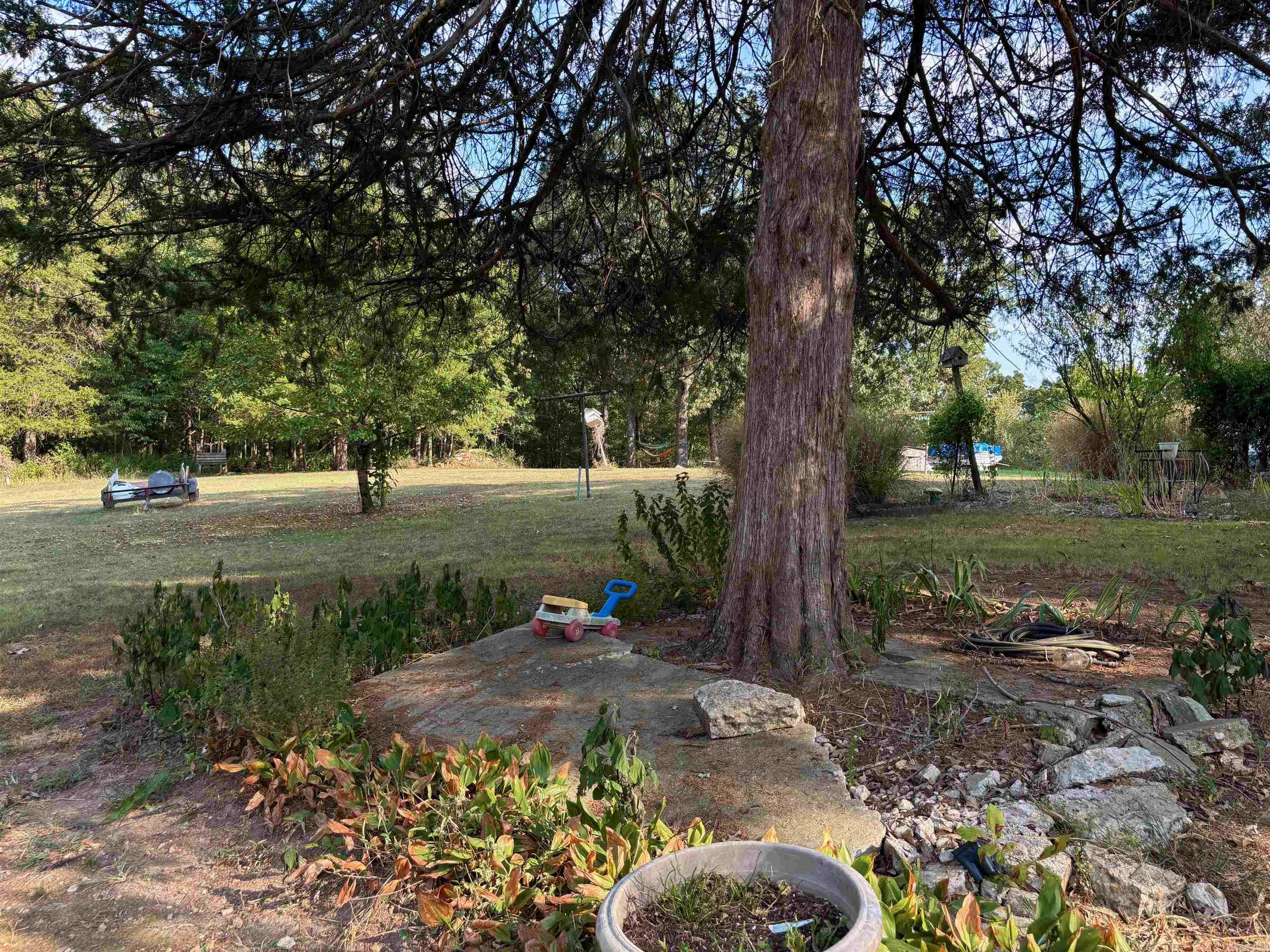 243 Deshaw Trl  Pocahontas, AR