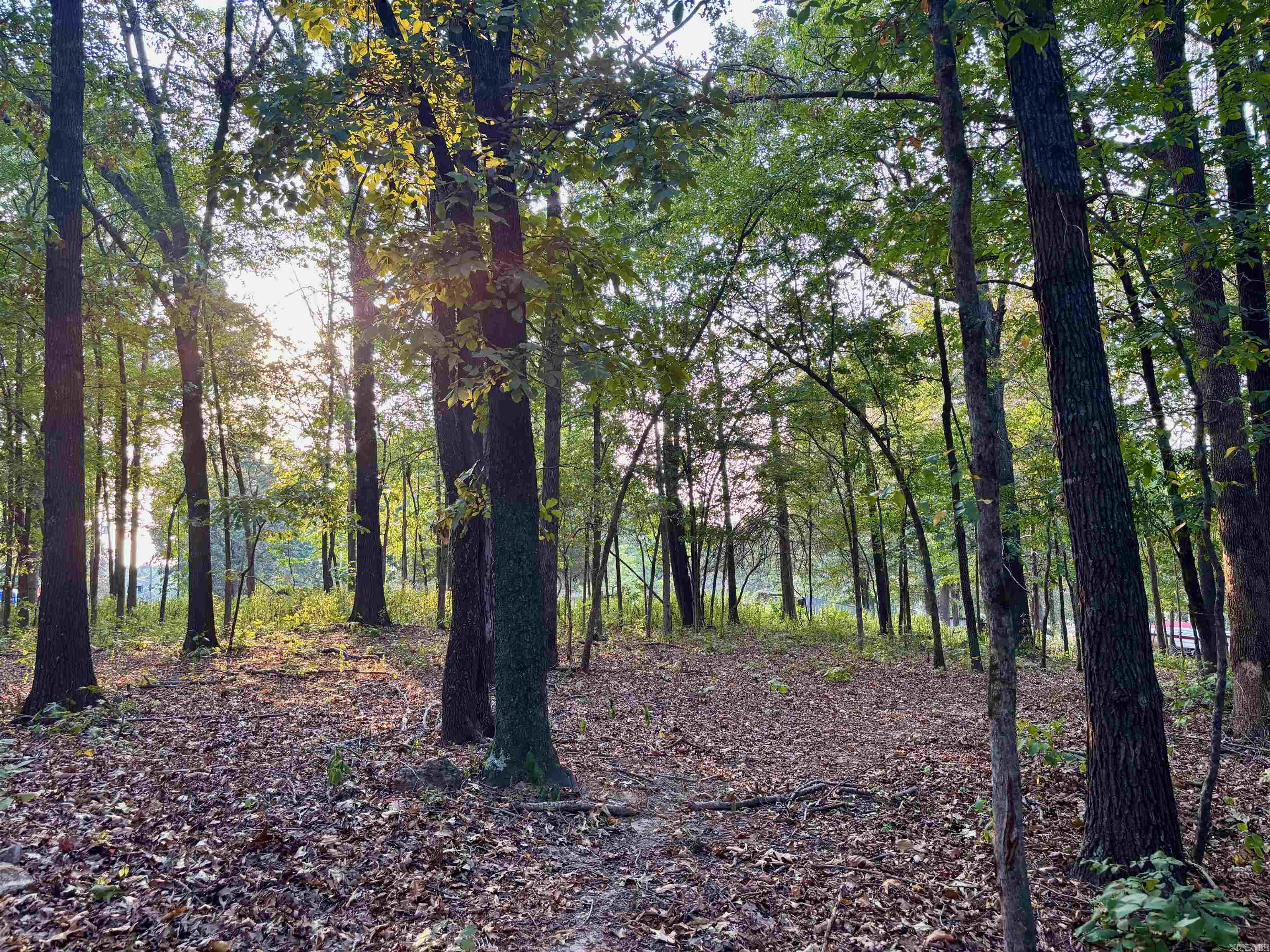 243 Deshaw Trl  Pocahontas, AR