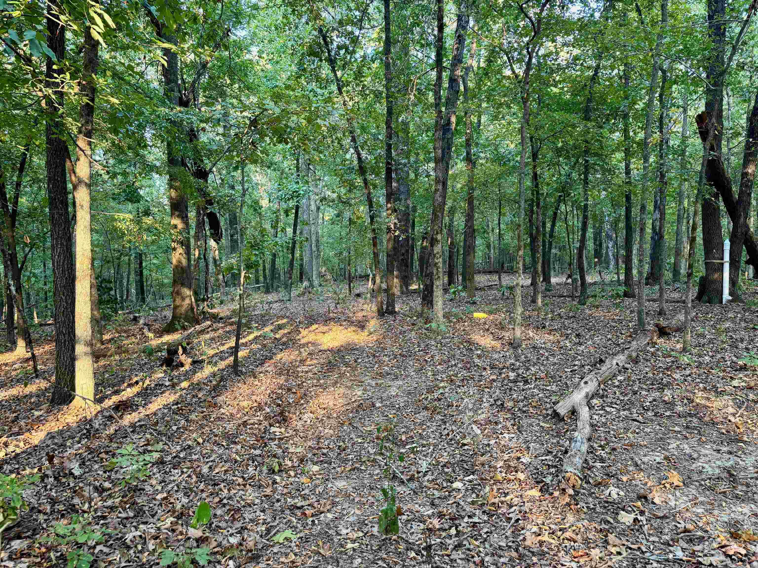 243 Deshaw Trl  Pocahontas, AR