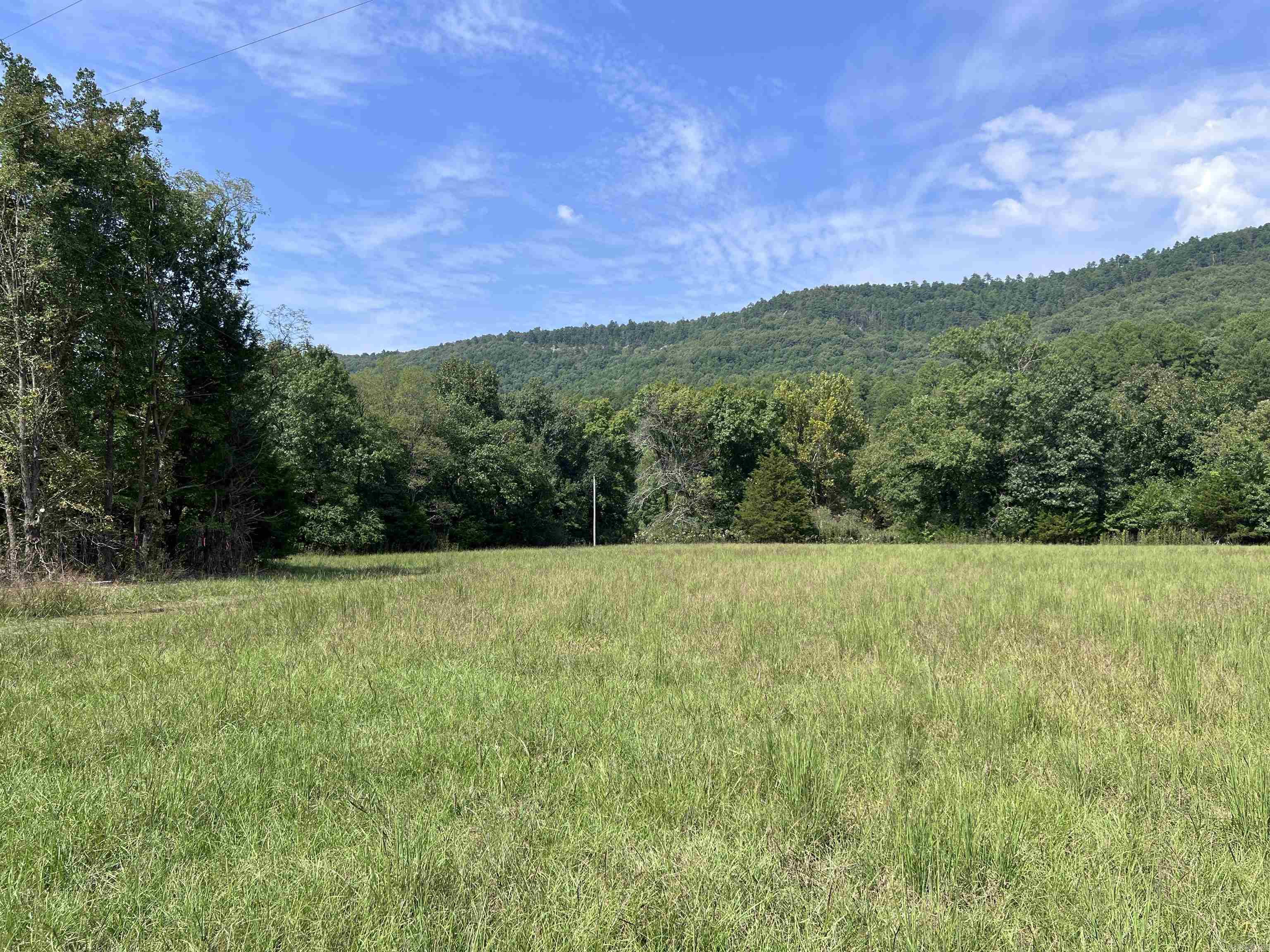 480 Polk Road 602  Mena, AR