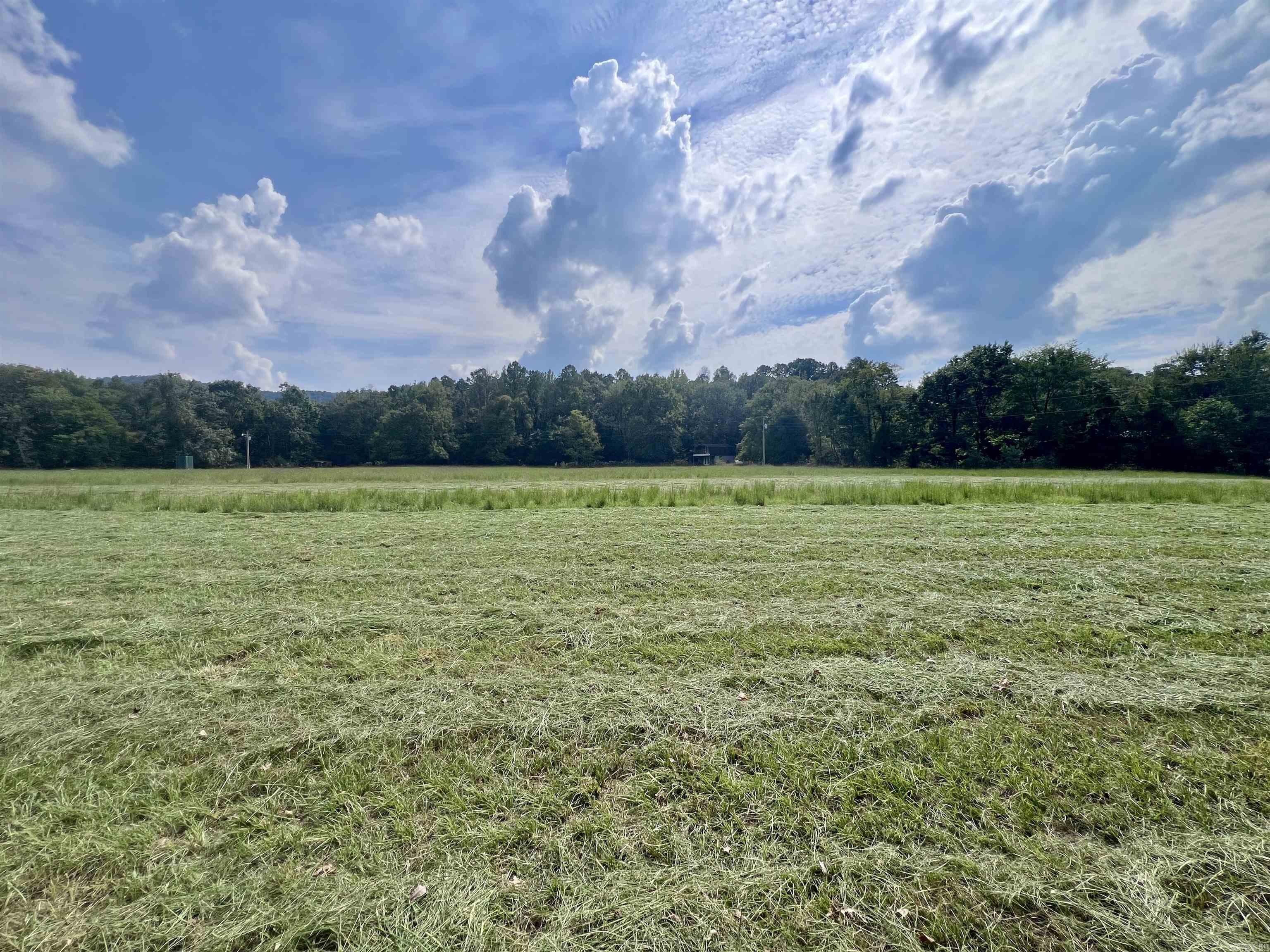 480 Polk Road 602  Mena, AR