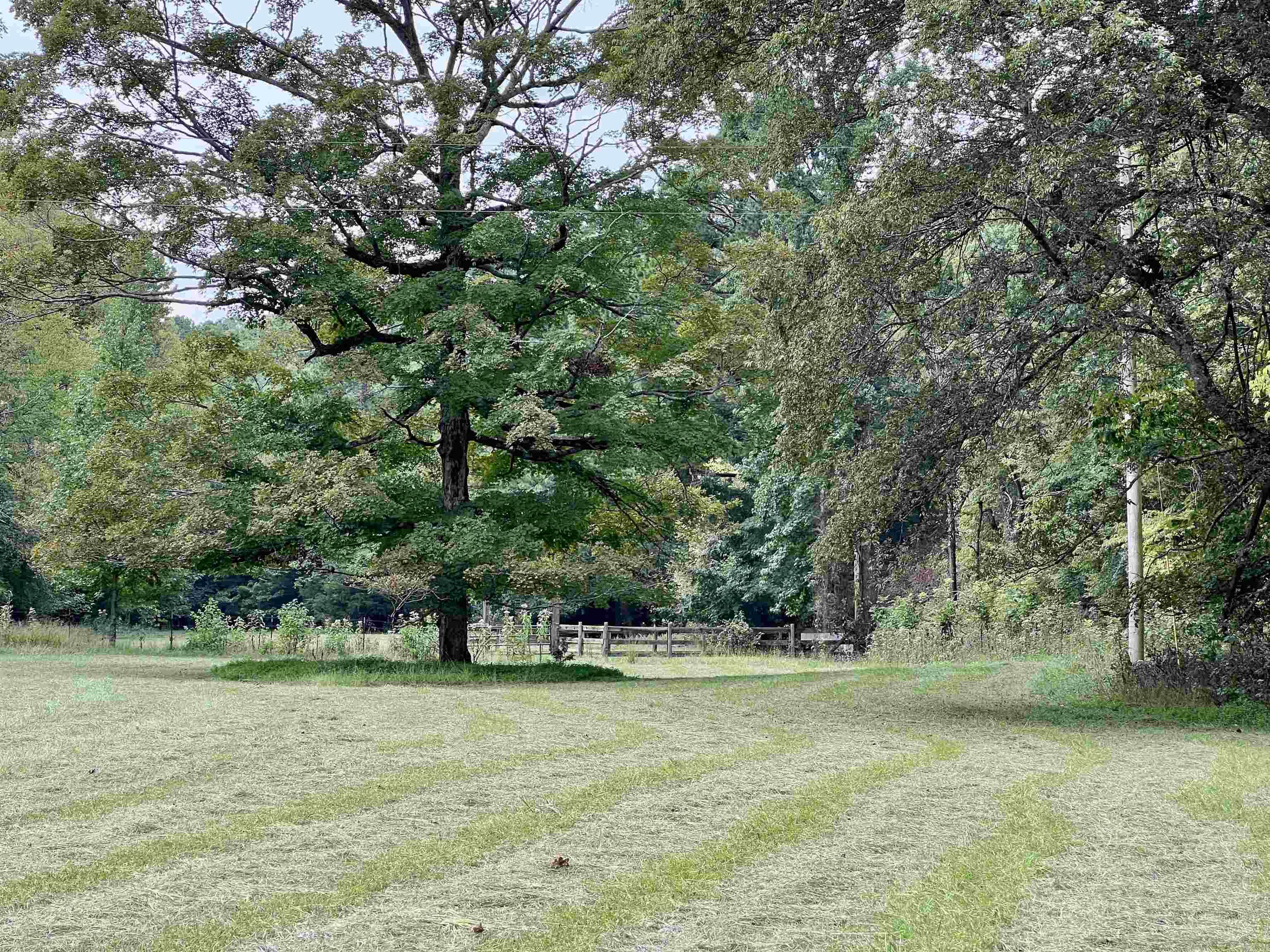 480 Polk Road 602  Mena, AR