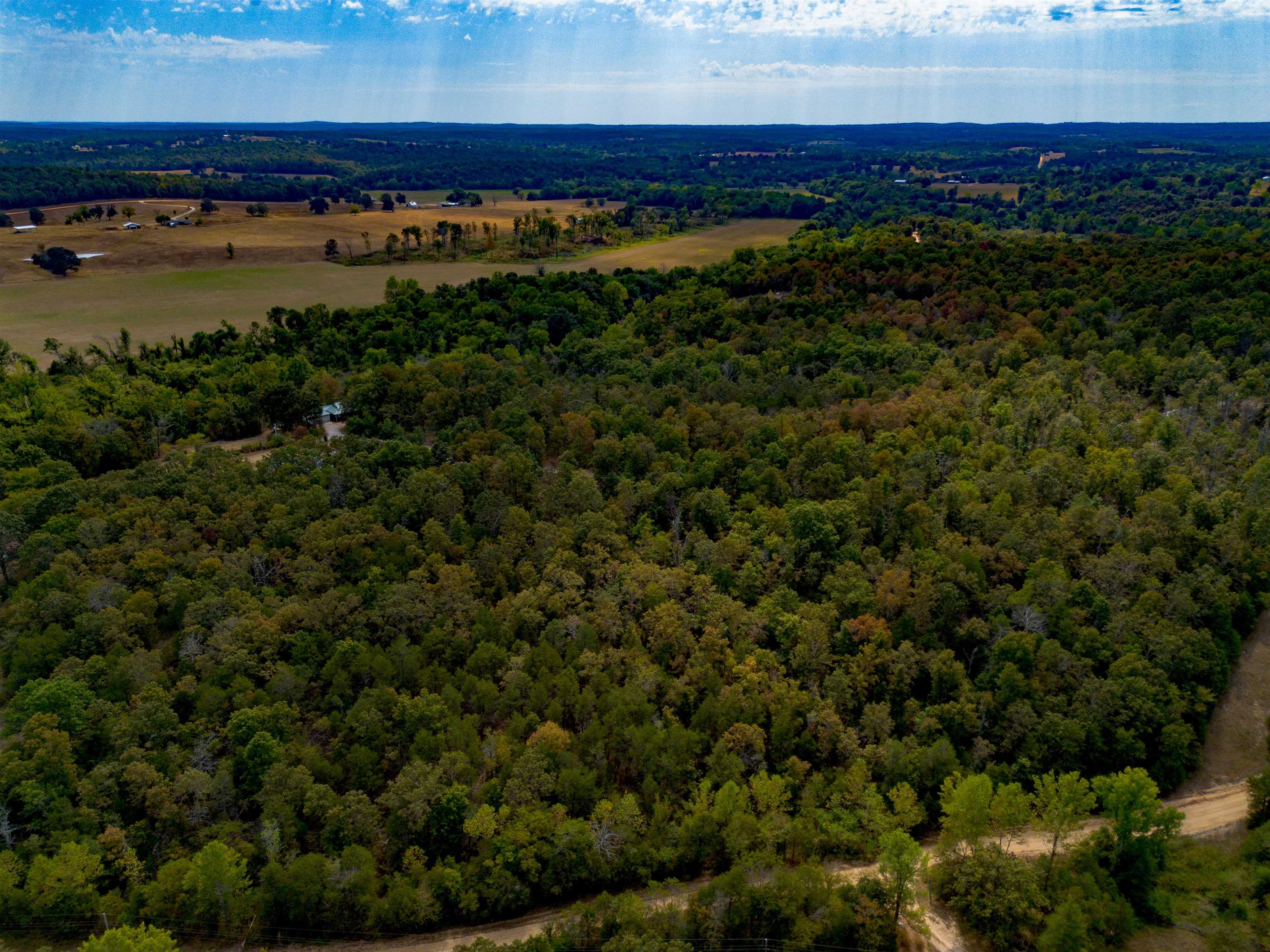 1100 River Hill Rd  Glencoe, AR