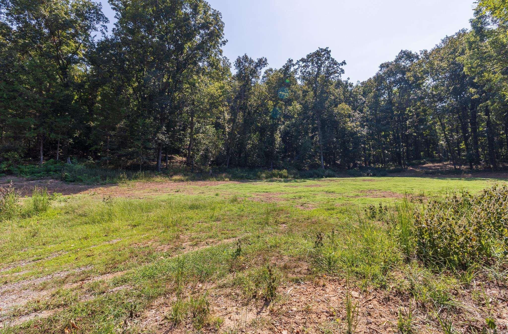 13918 Cat Holler Road  Ozark, AR