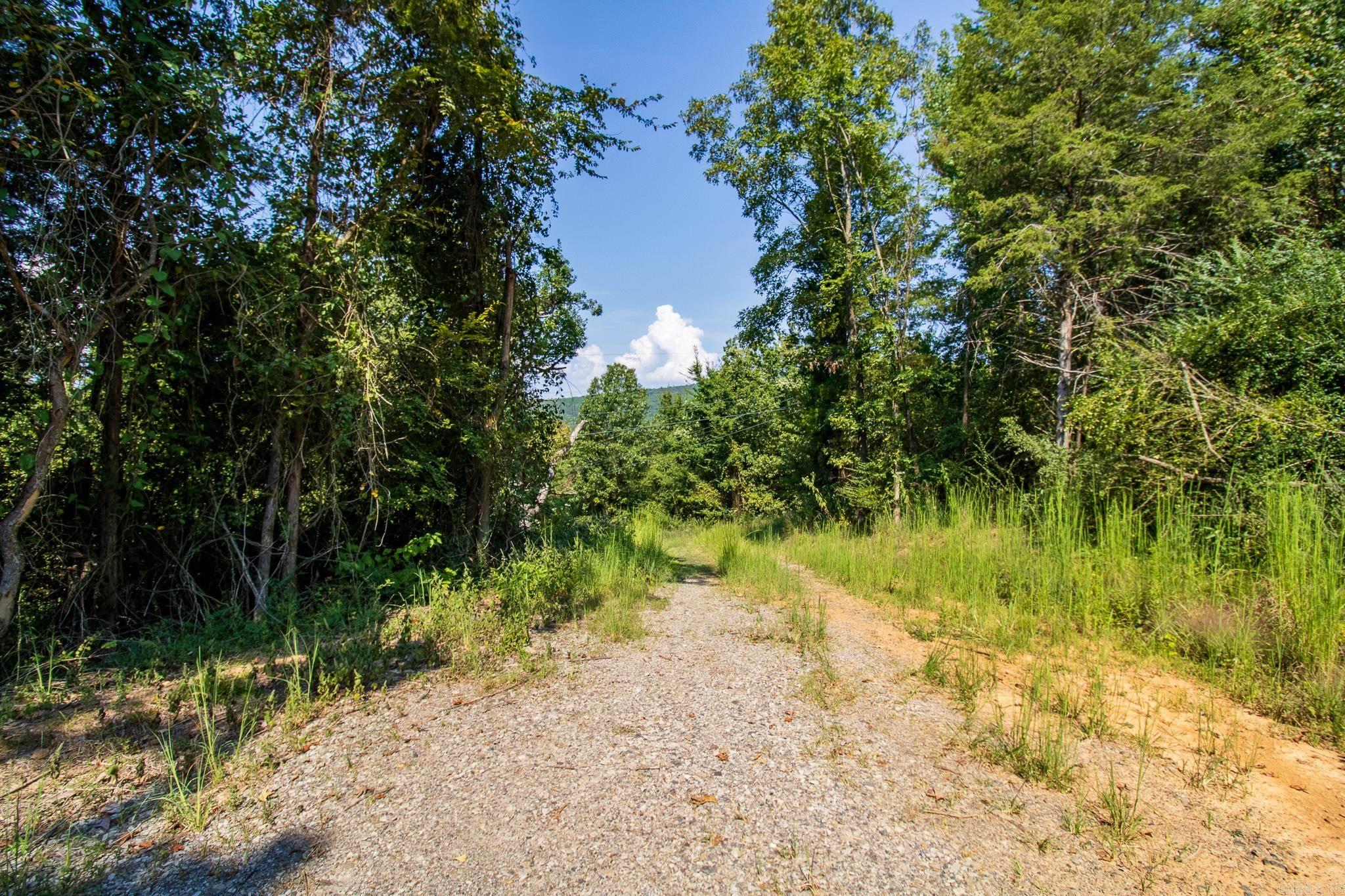 13918 Cat Holler Road  Ozark, AR