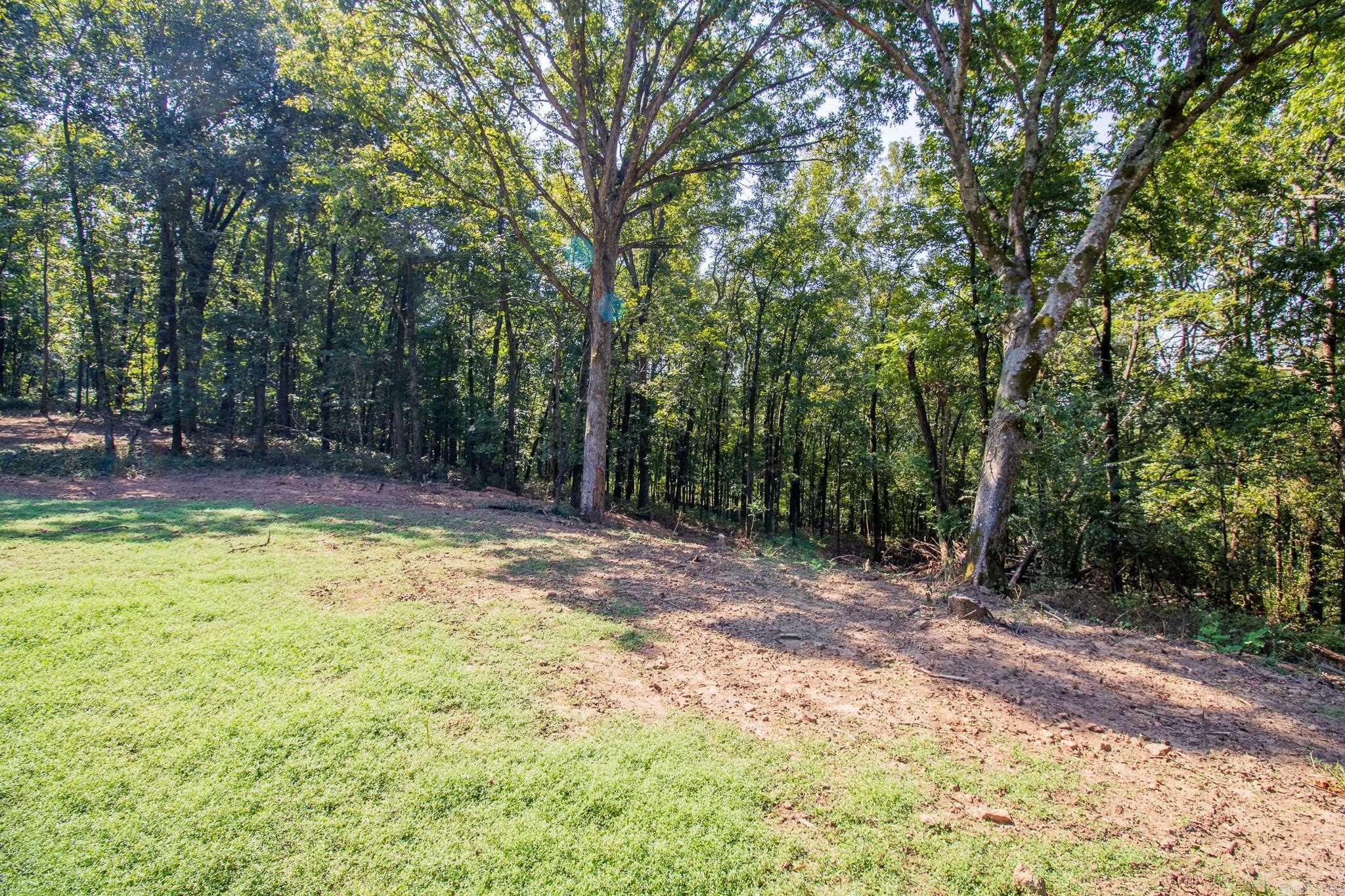 13918 Cat Holler Road  Ozark, AR