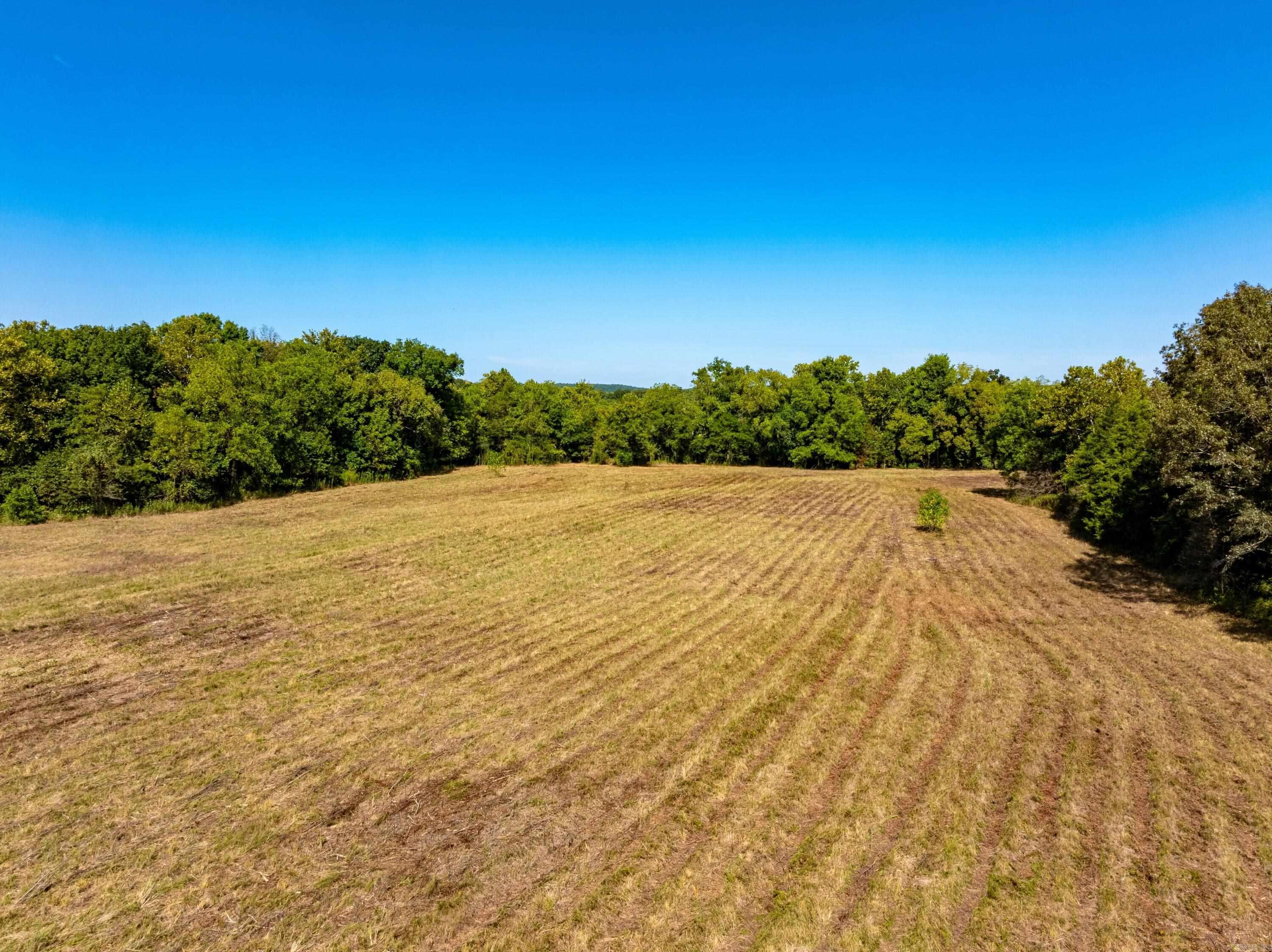 0 Stanfield Road  Smithville, AR