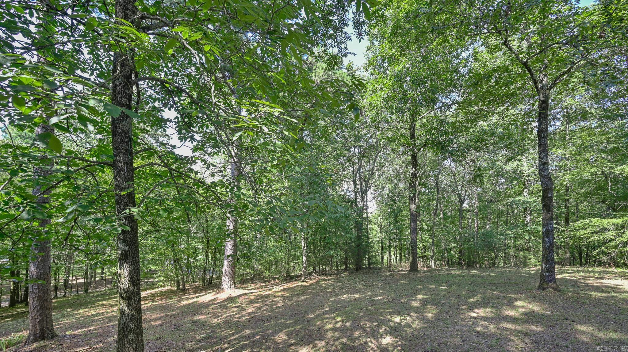 128 Polk Road 718  Mena, AR