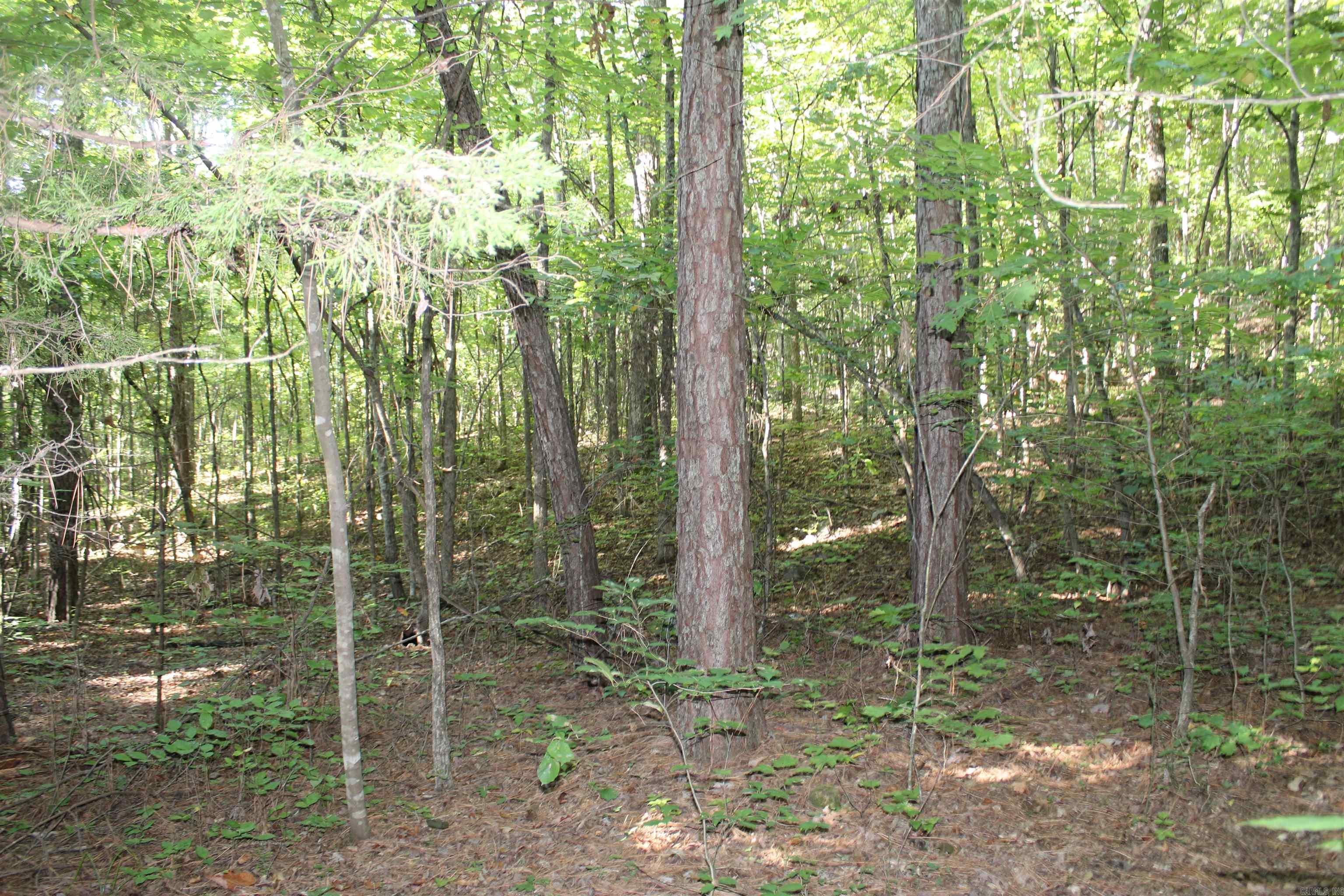 000 Greta Road  Clinton, AR
