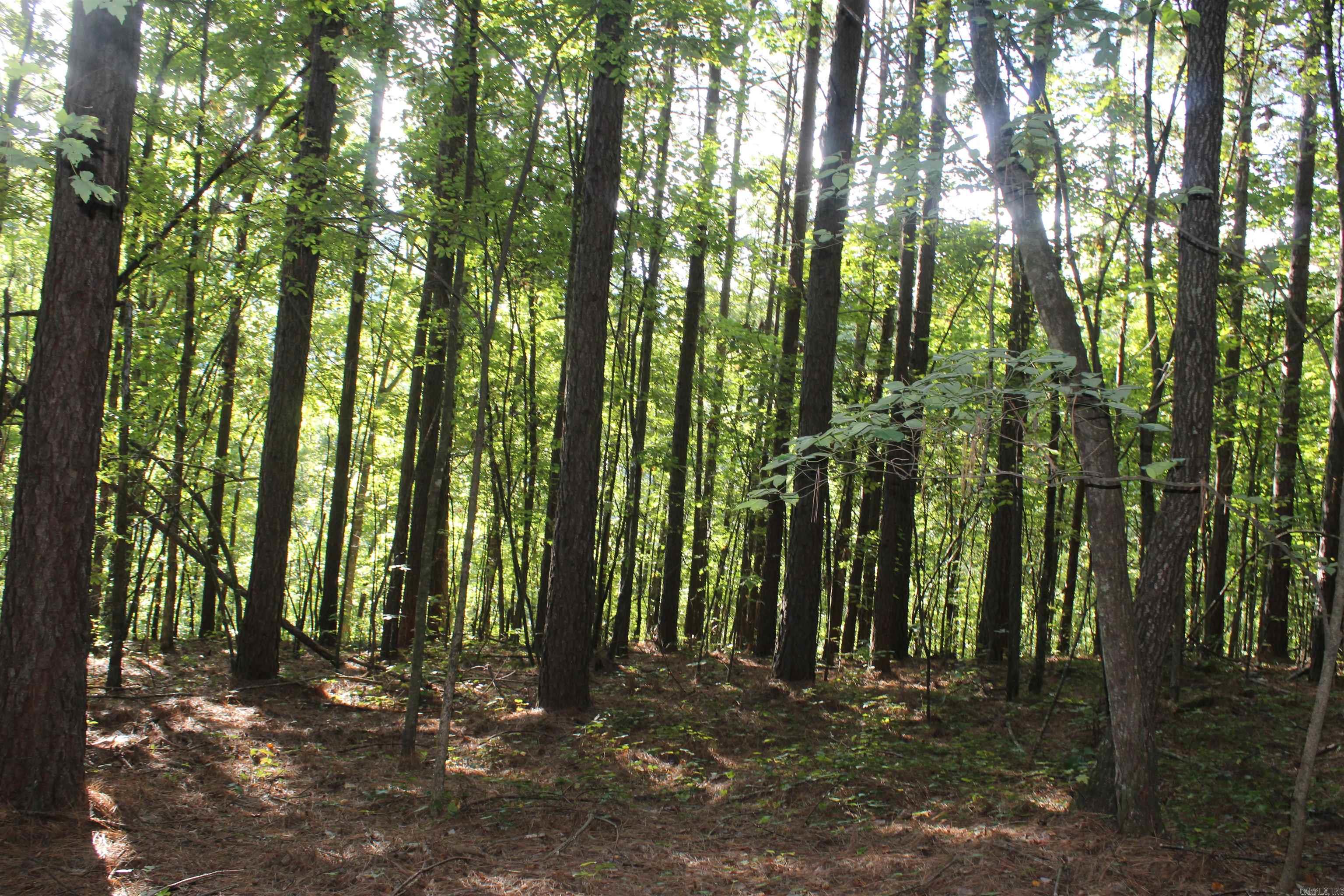 000 Greta Road  Clinton, AR