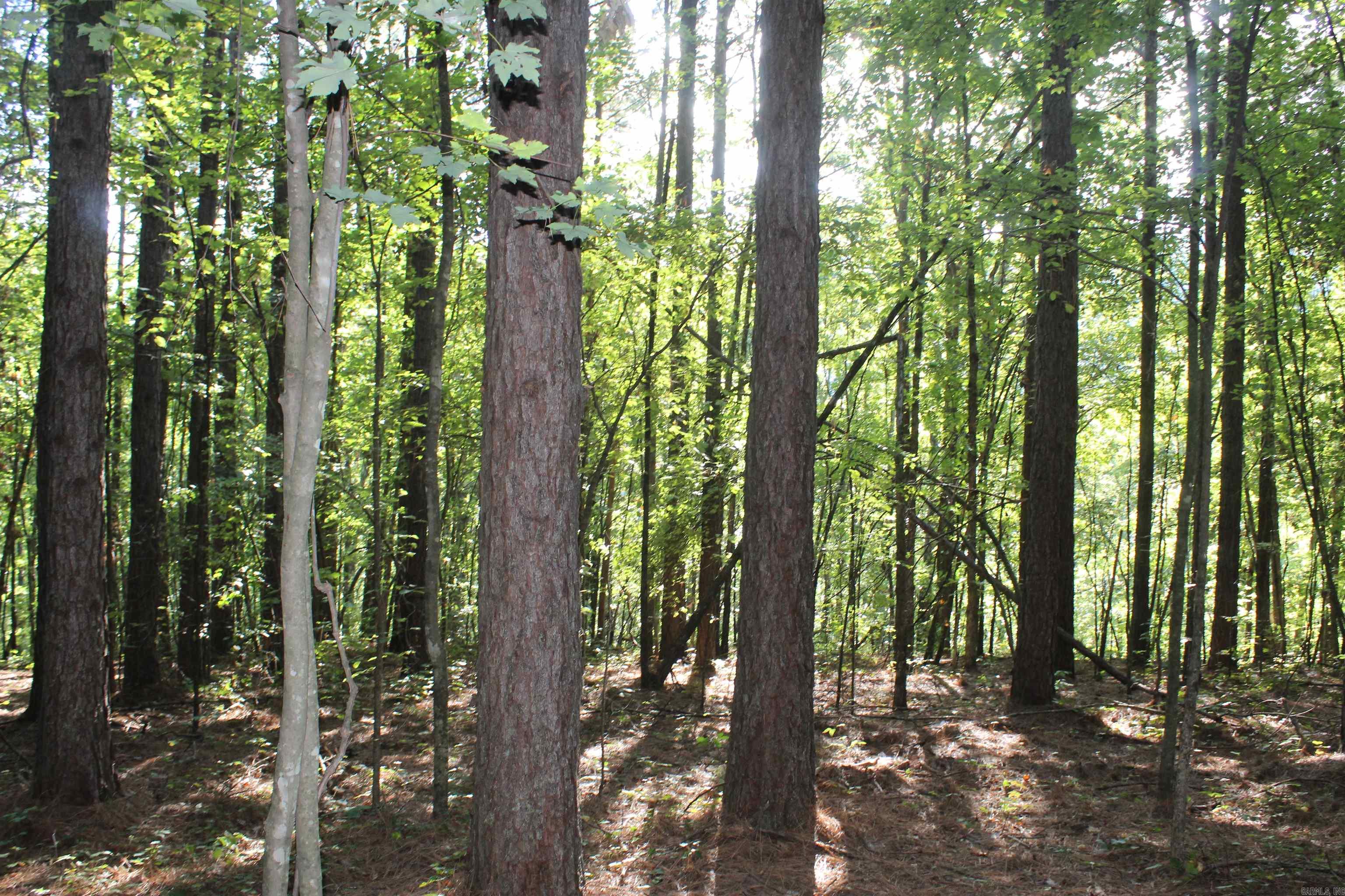 000 Greta Road  Clinton, AR