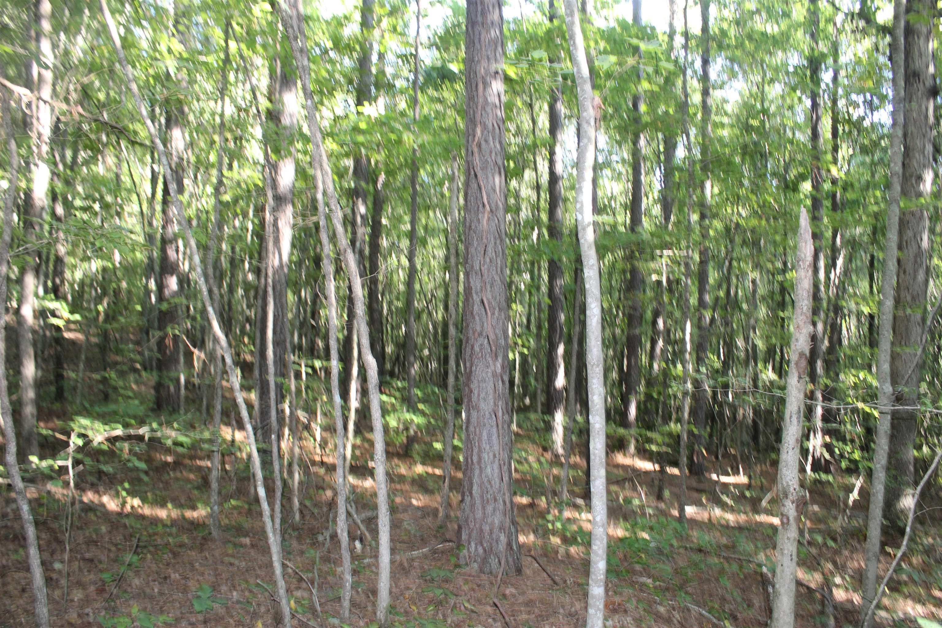 000 Greta Road  Clinton, AR