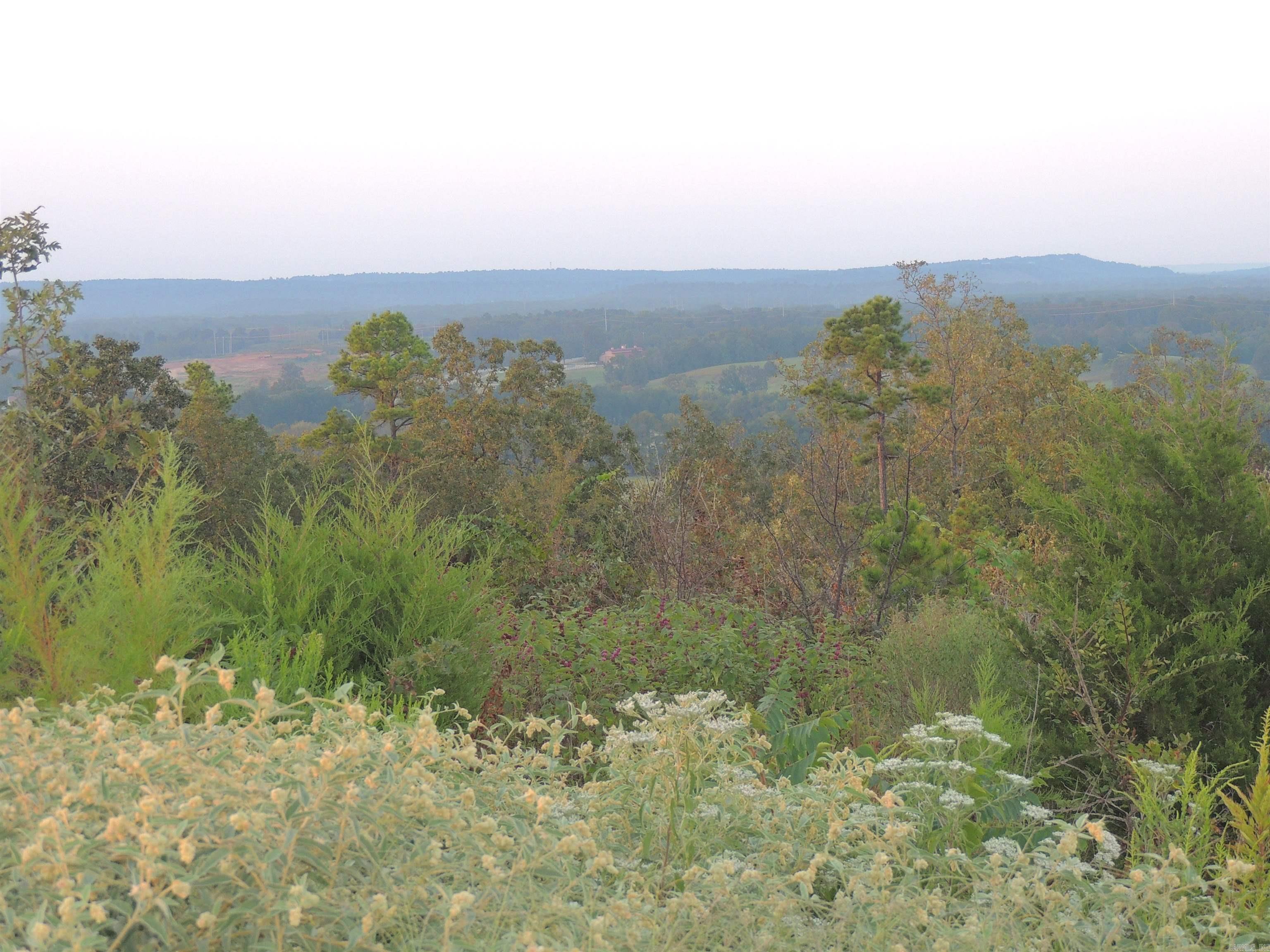 15912 Summit View Lane  Maumelle, AR