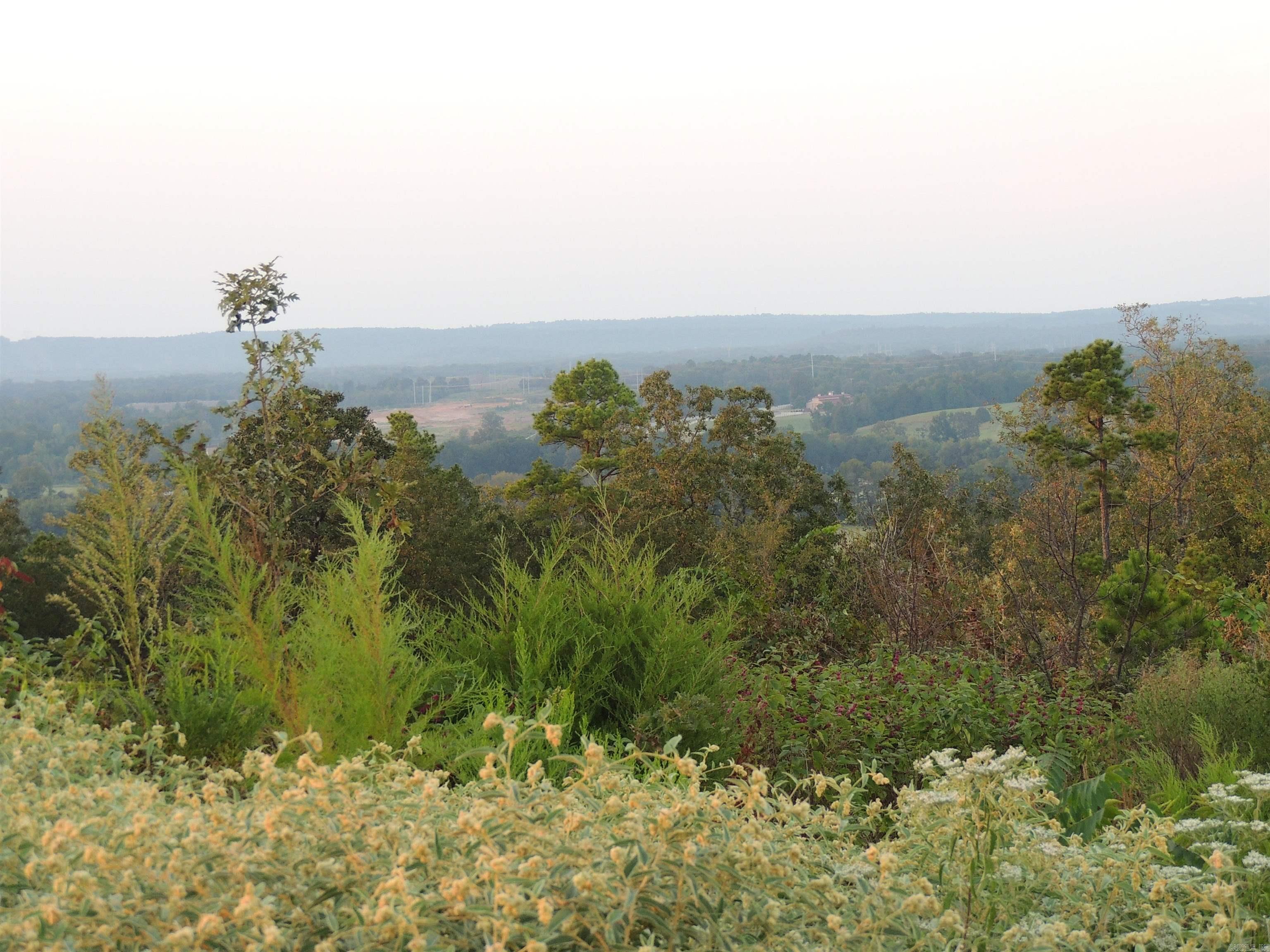 15912 Summit View Lane  Maumelle, AR