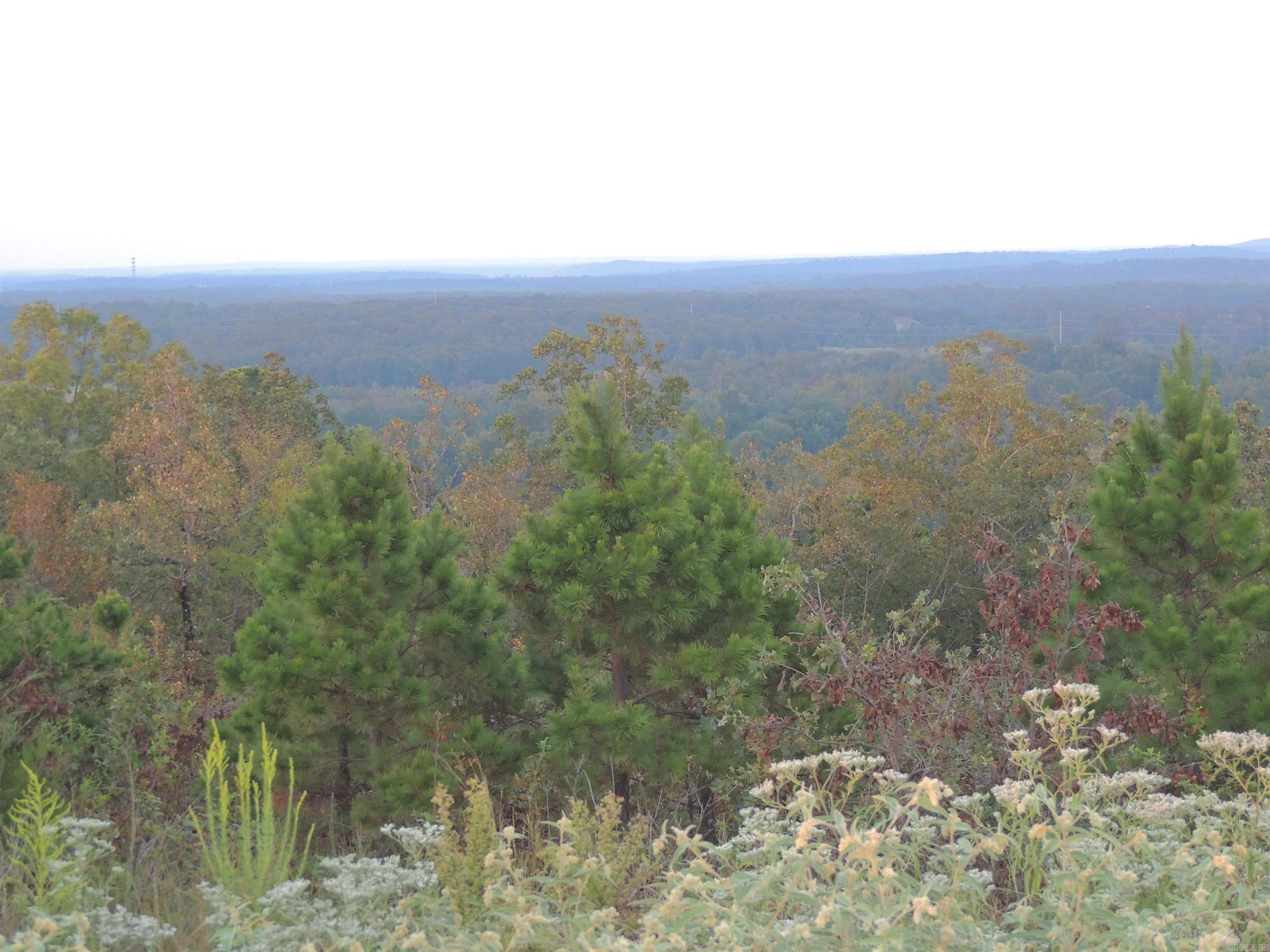 15912 Summit View Lane  Maumelle, AR