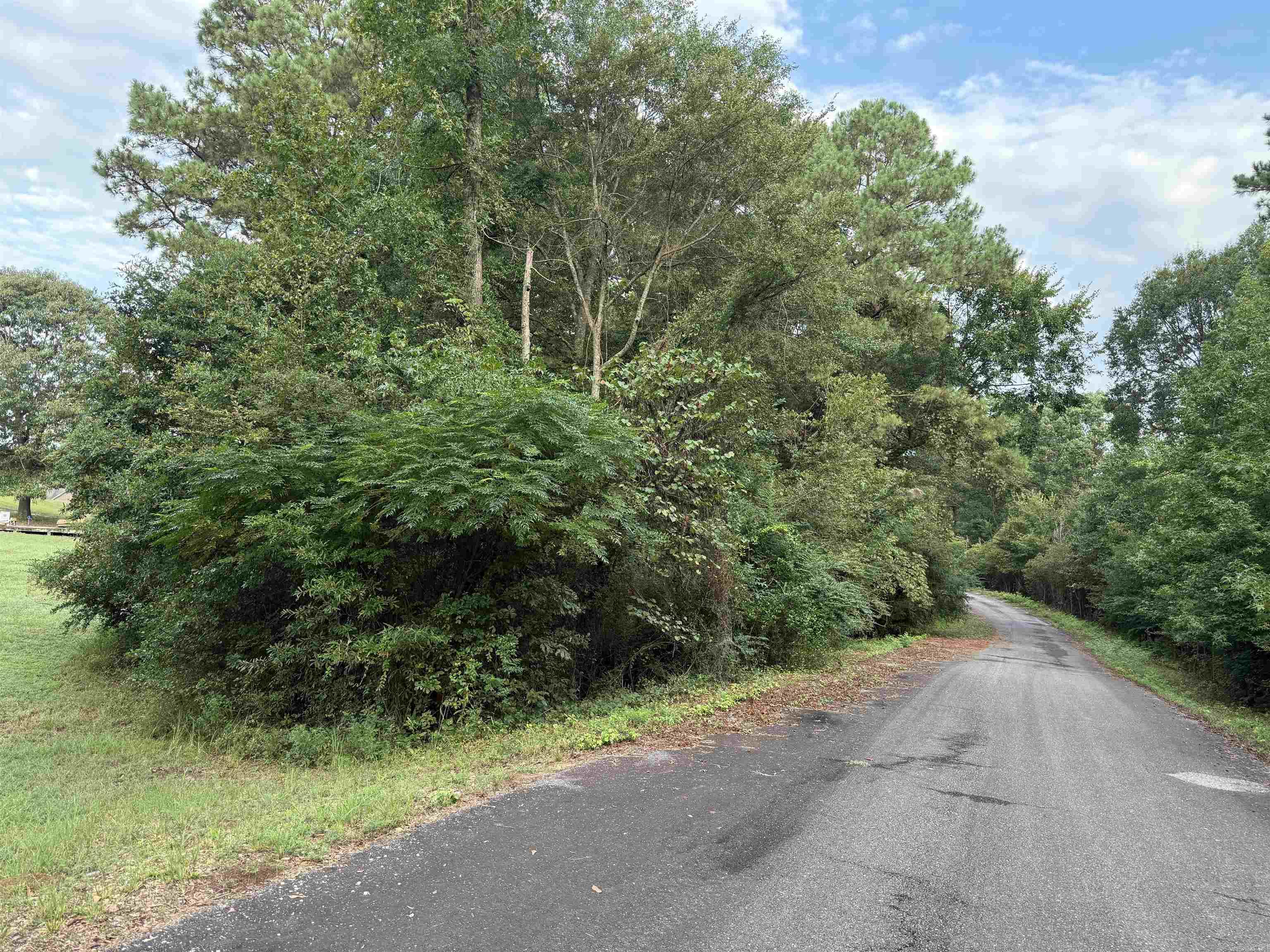Lot 11 Deer Creek  Nashville, AR