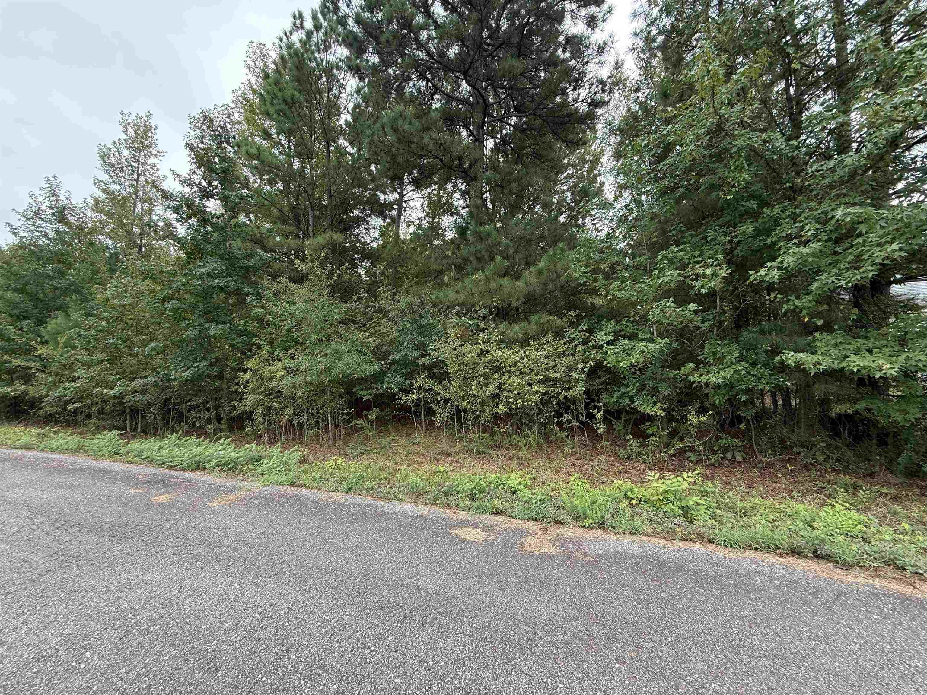 Lot 6 Cooper Cove  Nashville, AR