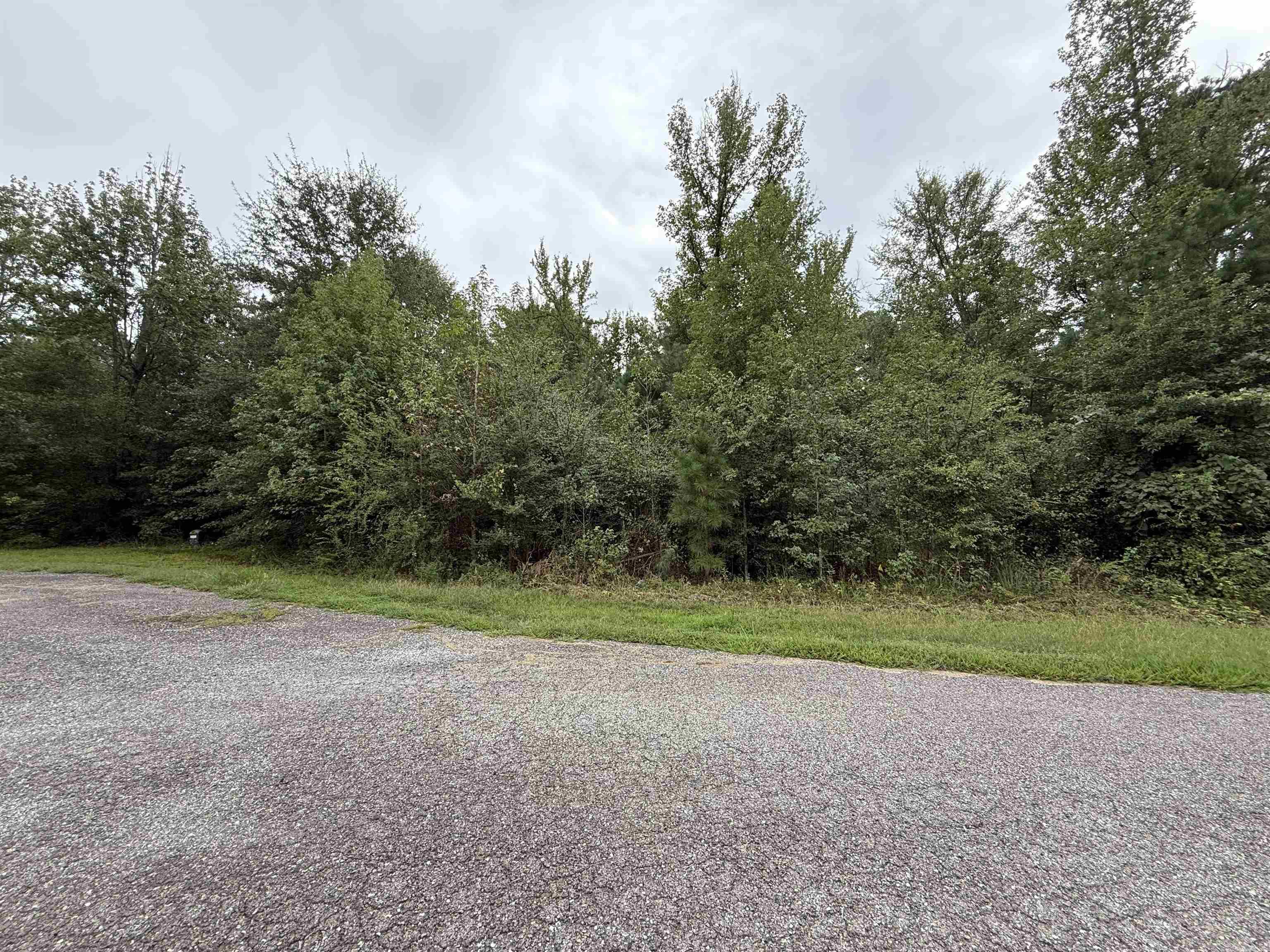 Lot 5 Cooper Cove  Nashville, AR