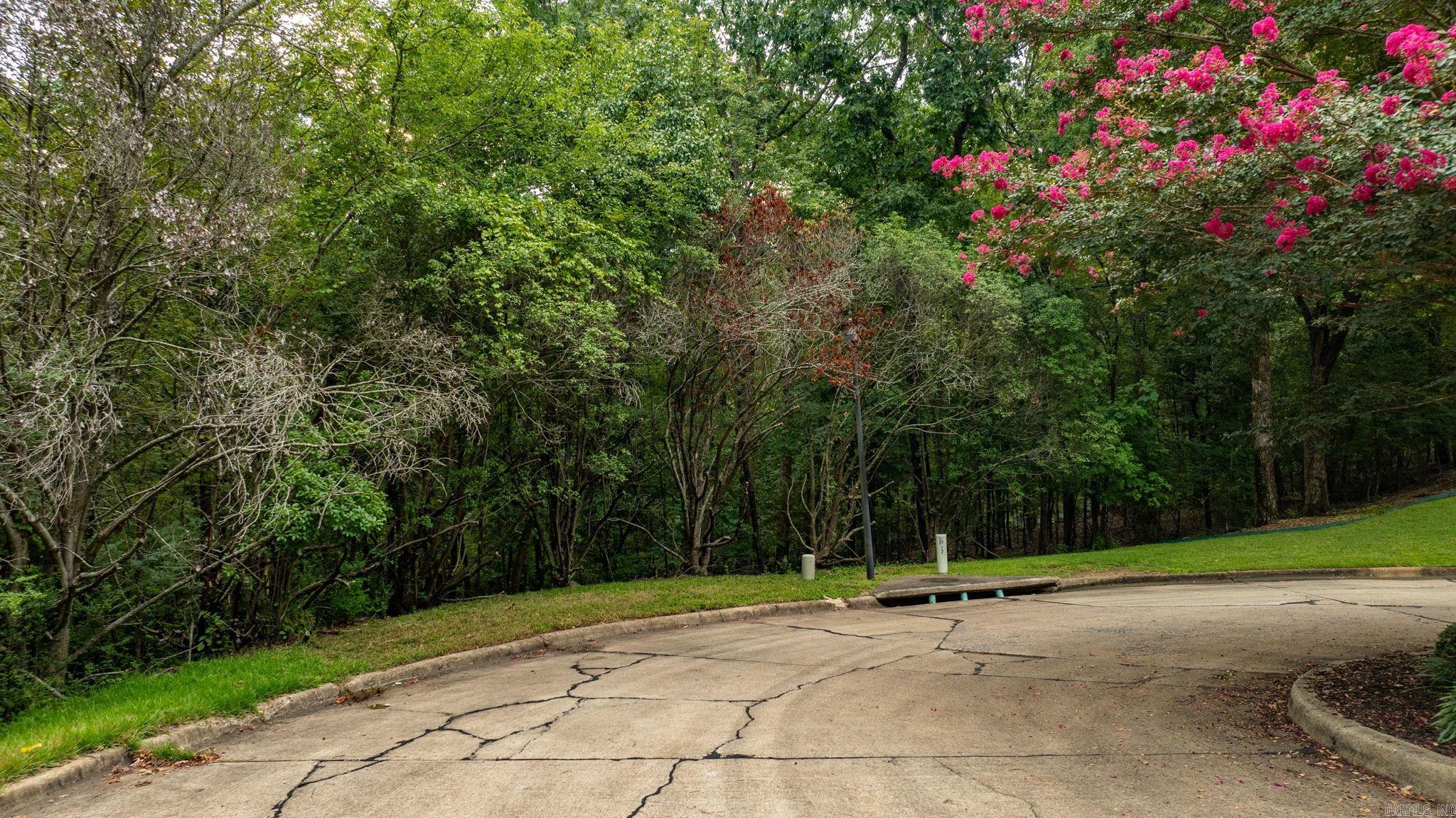 110 Carriage Creek  Little Rock, AR