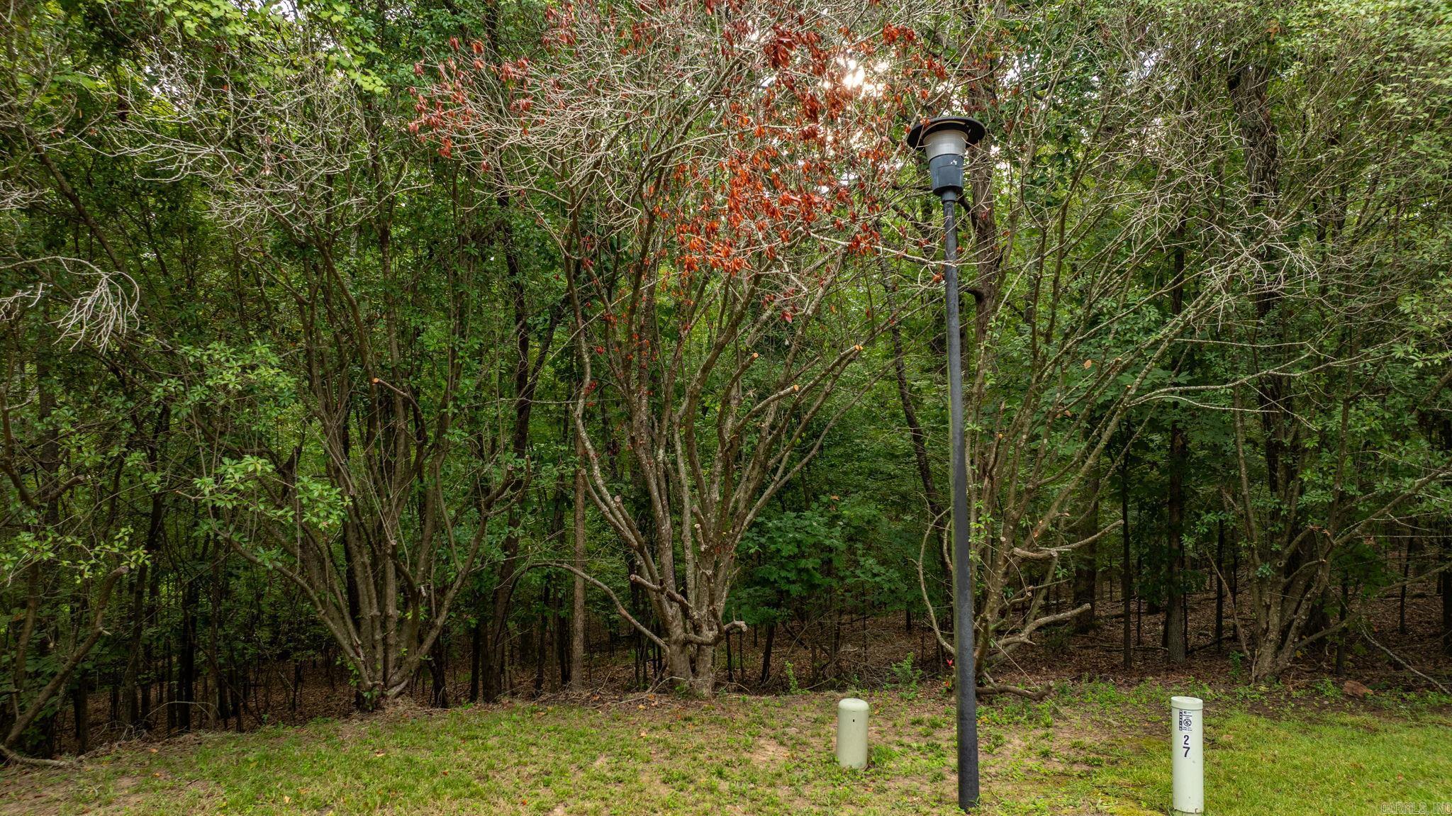 110 Carriage Creek  Little Rock, AR