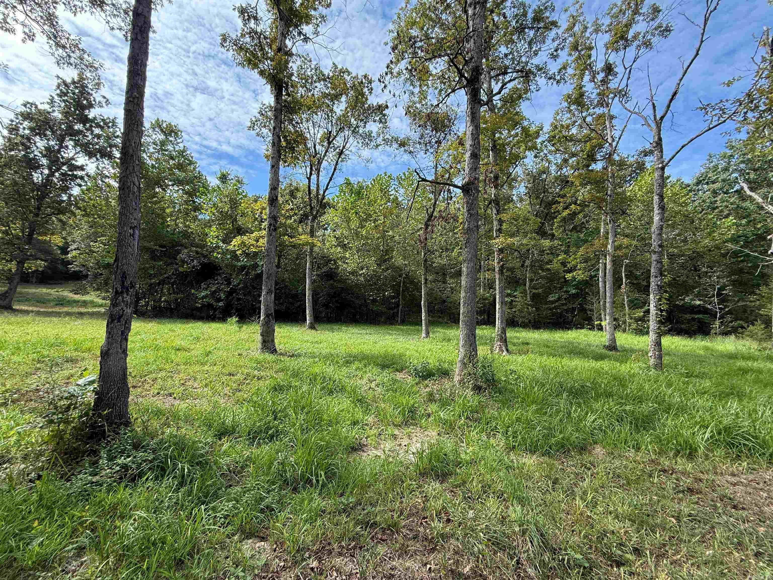 TBD Highway 163  Hardy, AR