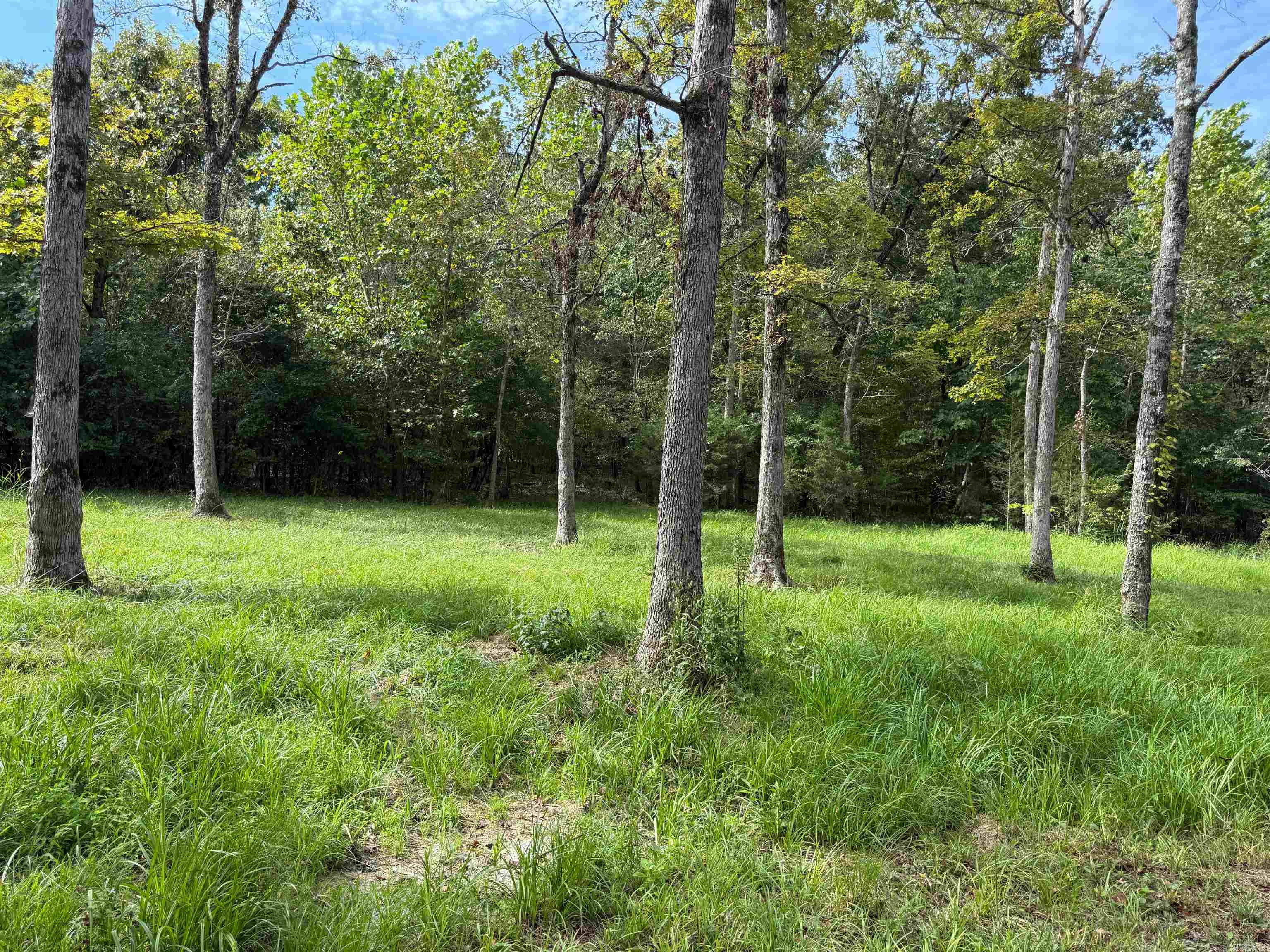 TBD Highway 163  Hardy, AR