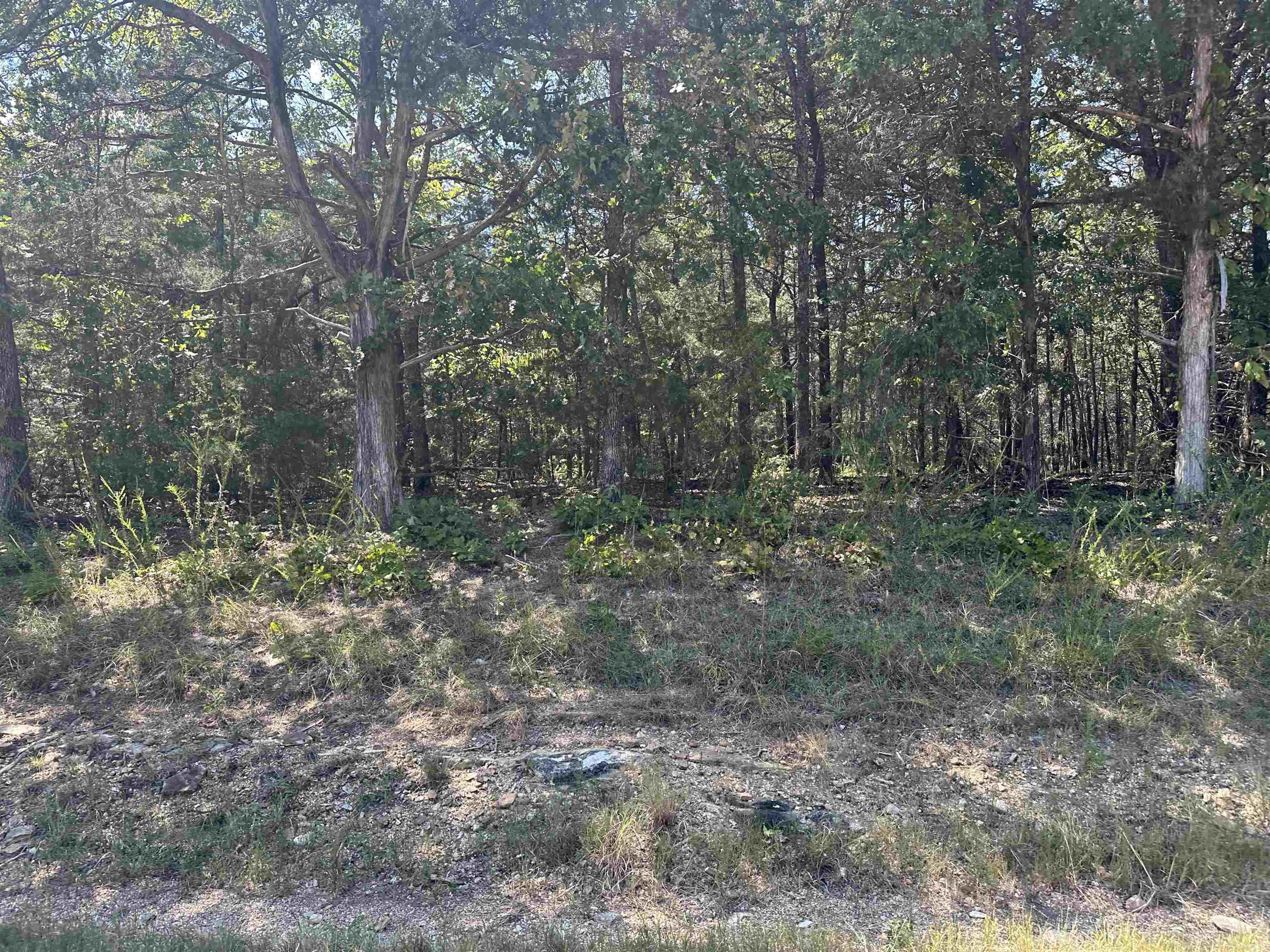 000 MC 7027  Peel, AR