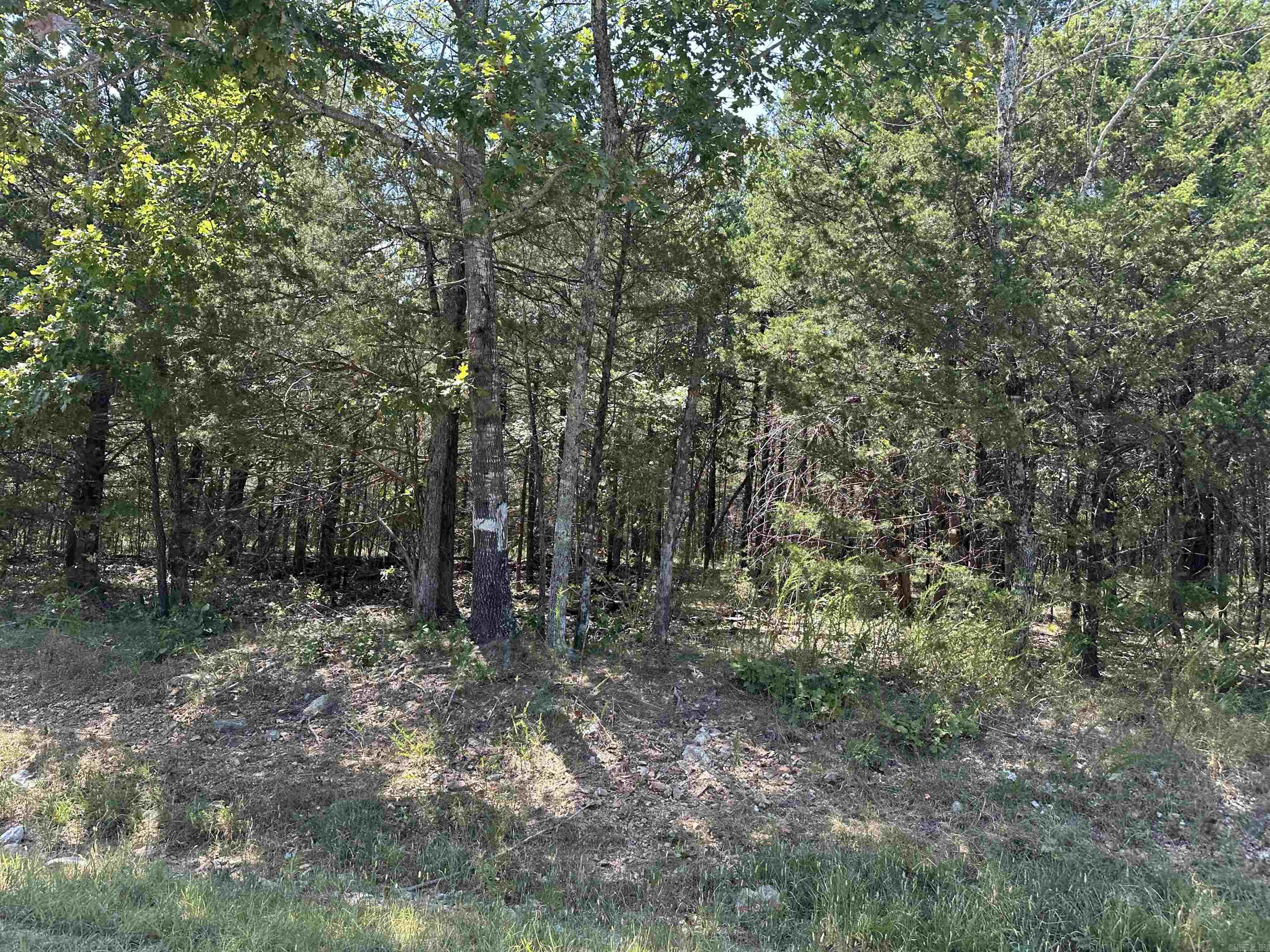 11360 HWY 125  Peel, AR