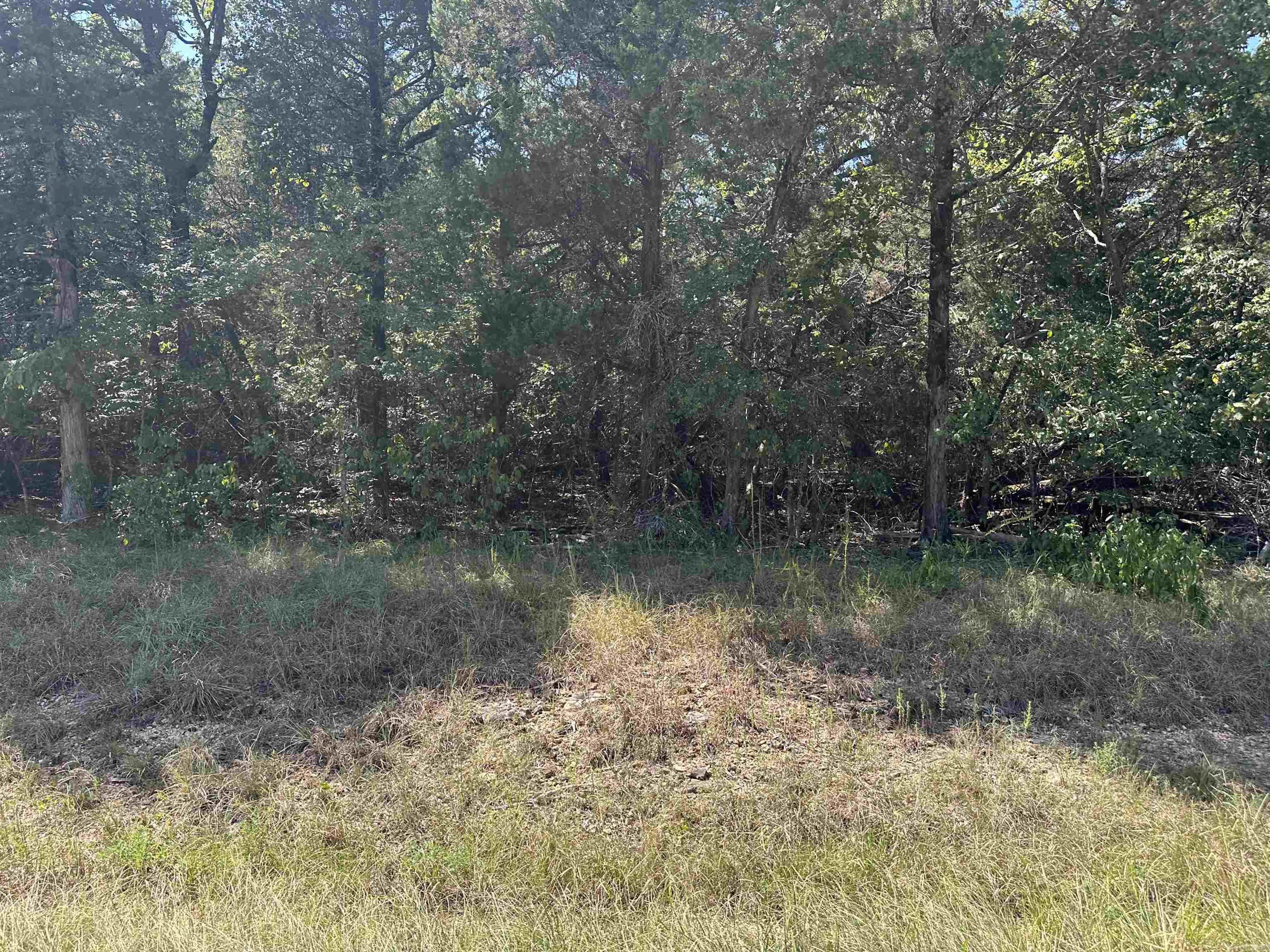 11360 HWY 125  Peel, AR