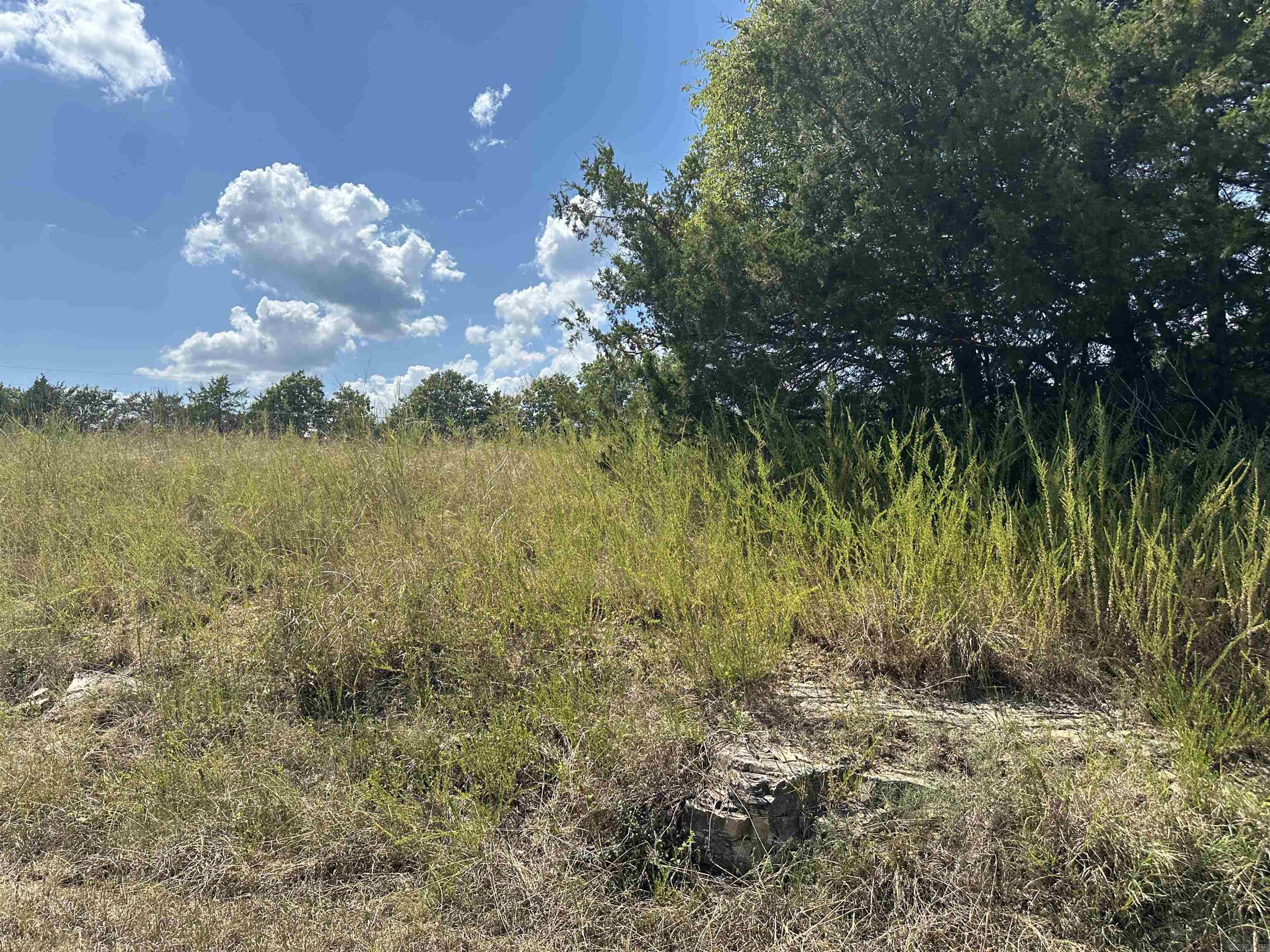 11360 HWY 125  Peel, AR
