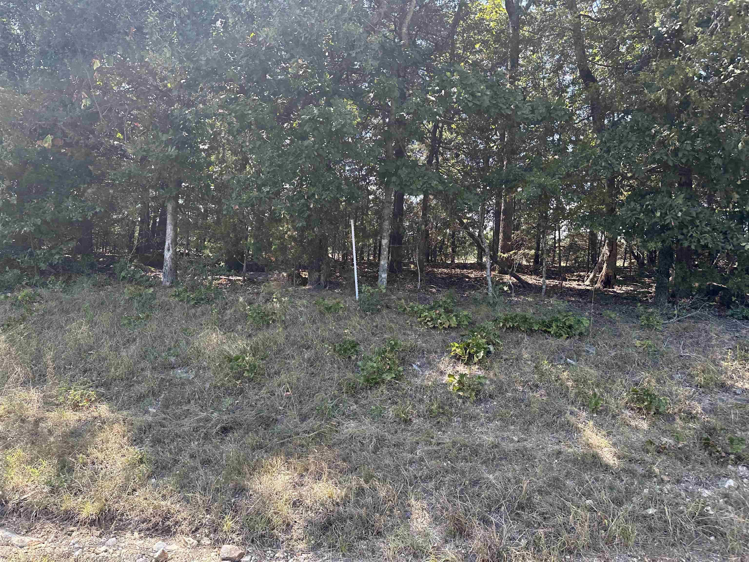 11550 HWY 125  Peel, AR