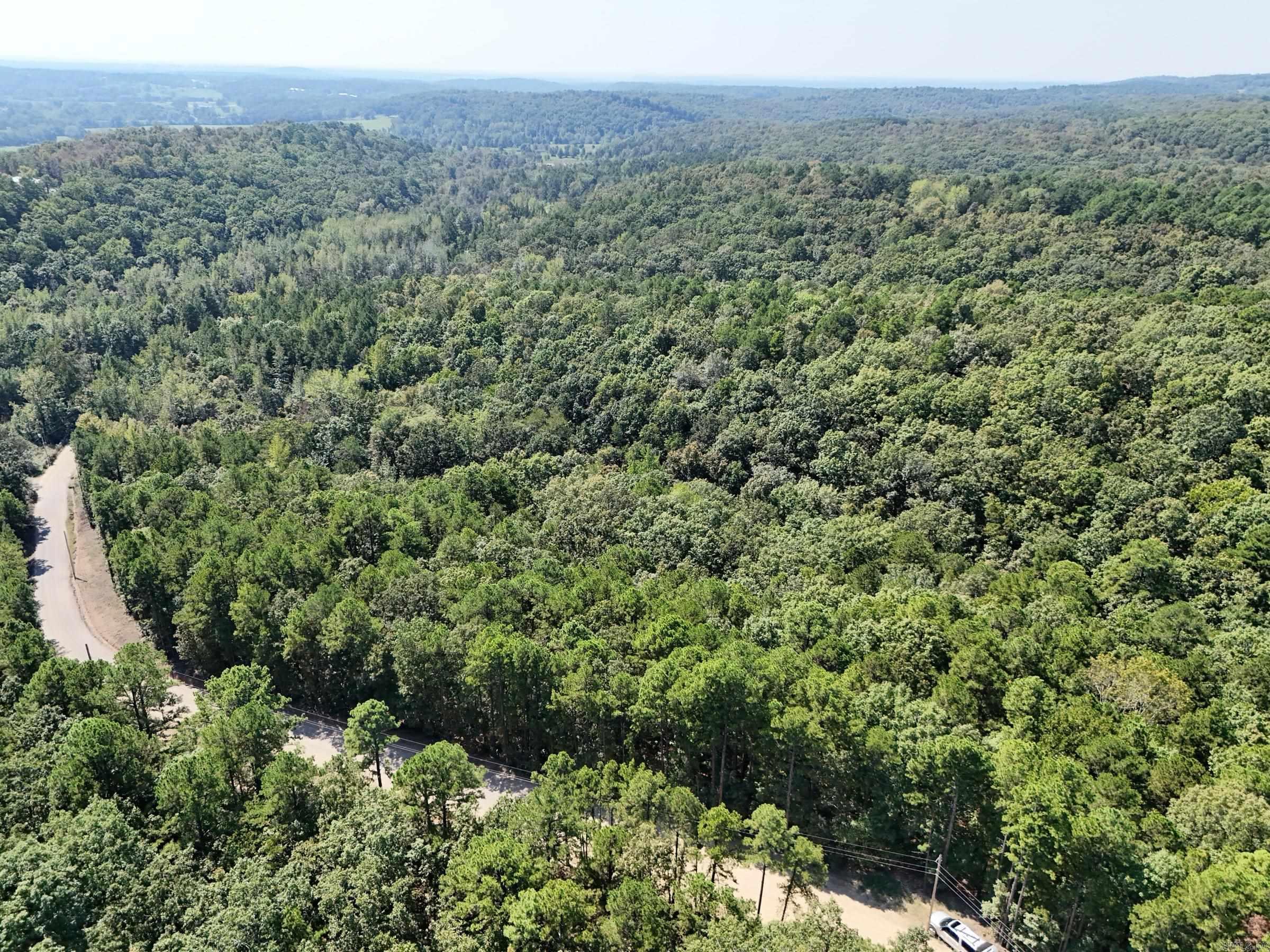 00 Long Branch  Bee Branch, AR