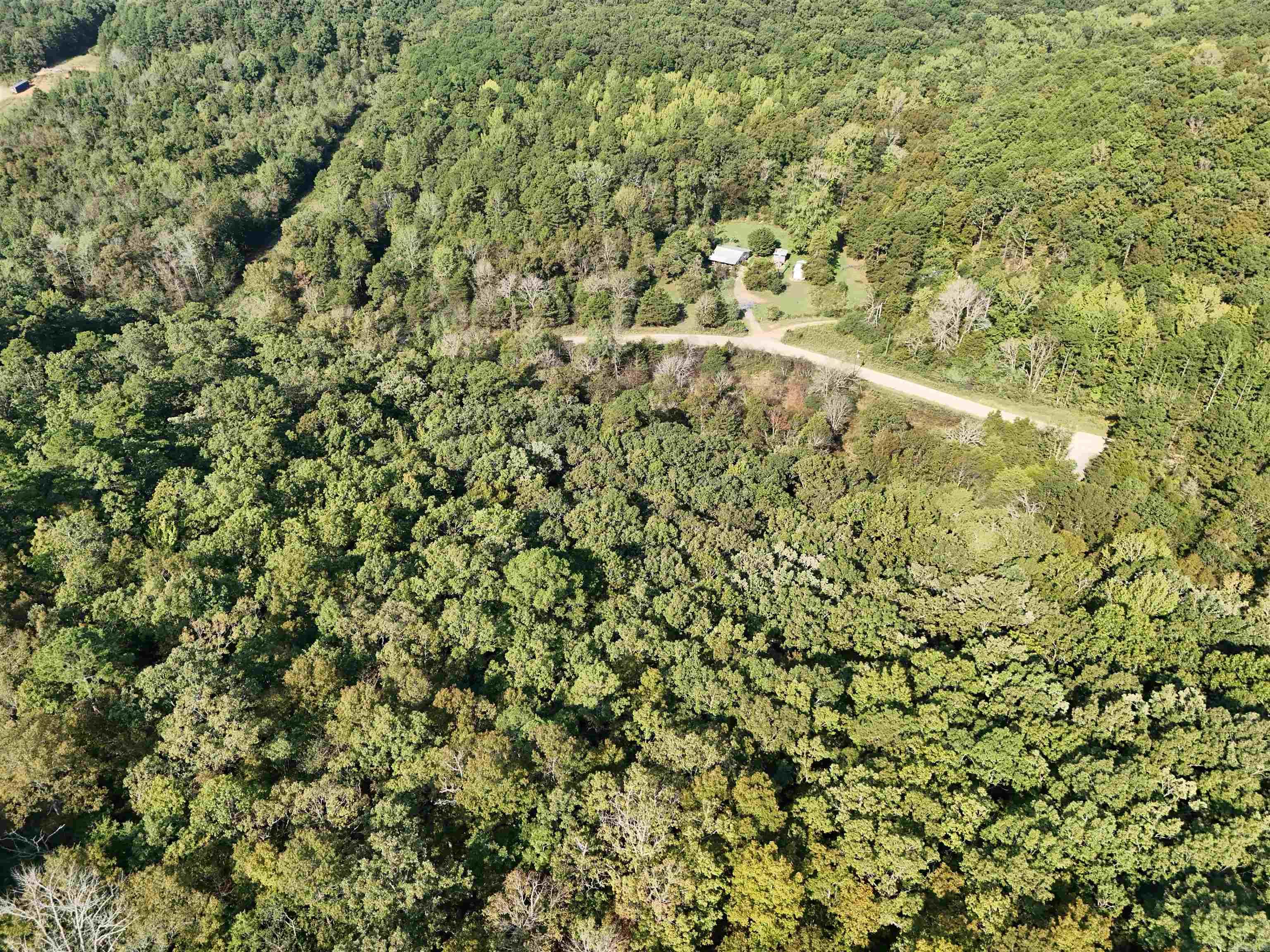 00 Long Branch  Bee Branch, AR