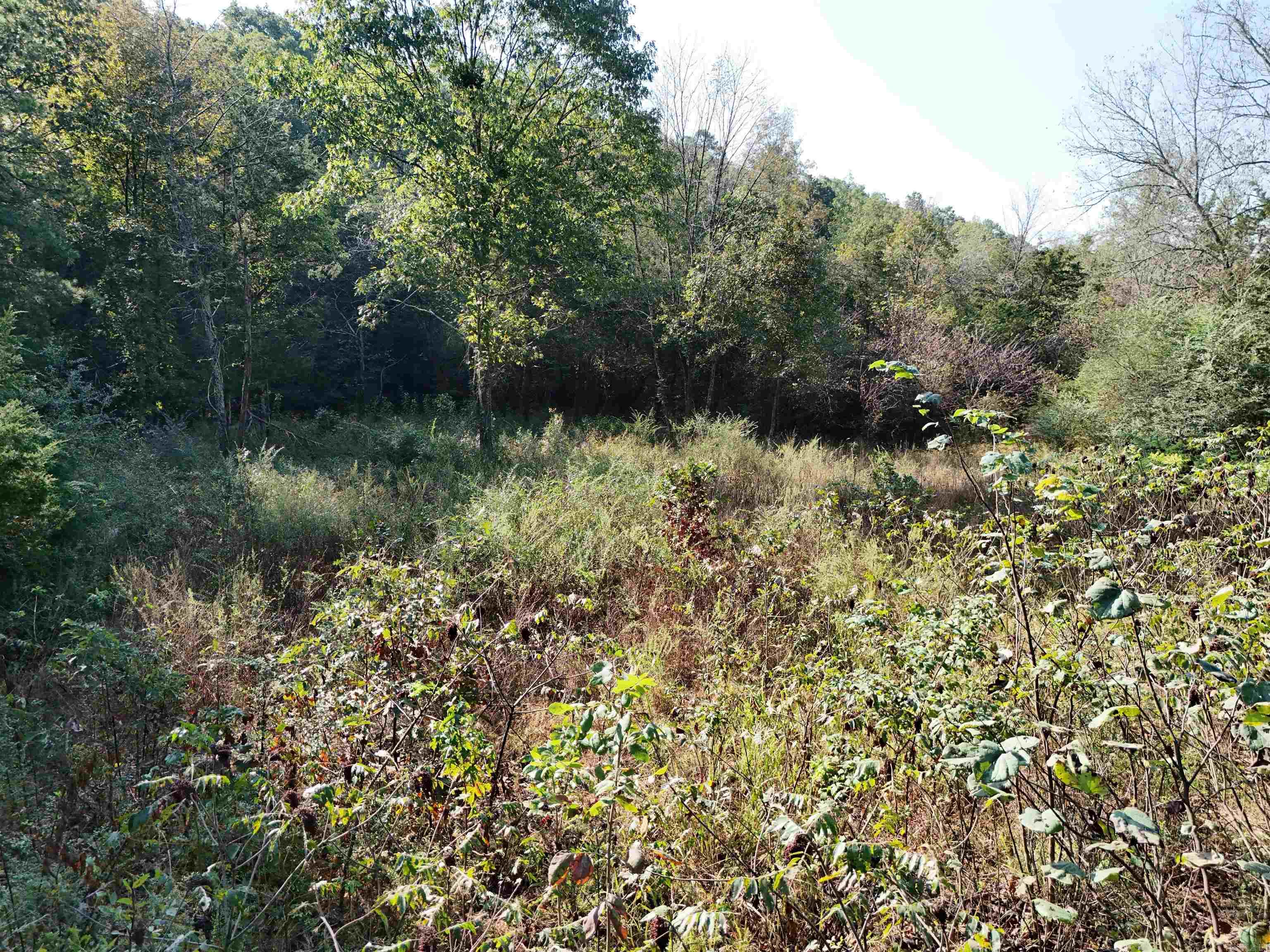 00 Long Branch  Bee Branch, AR