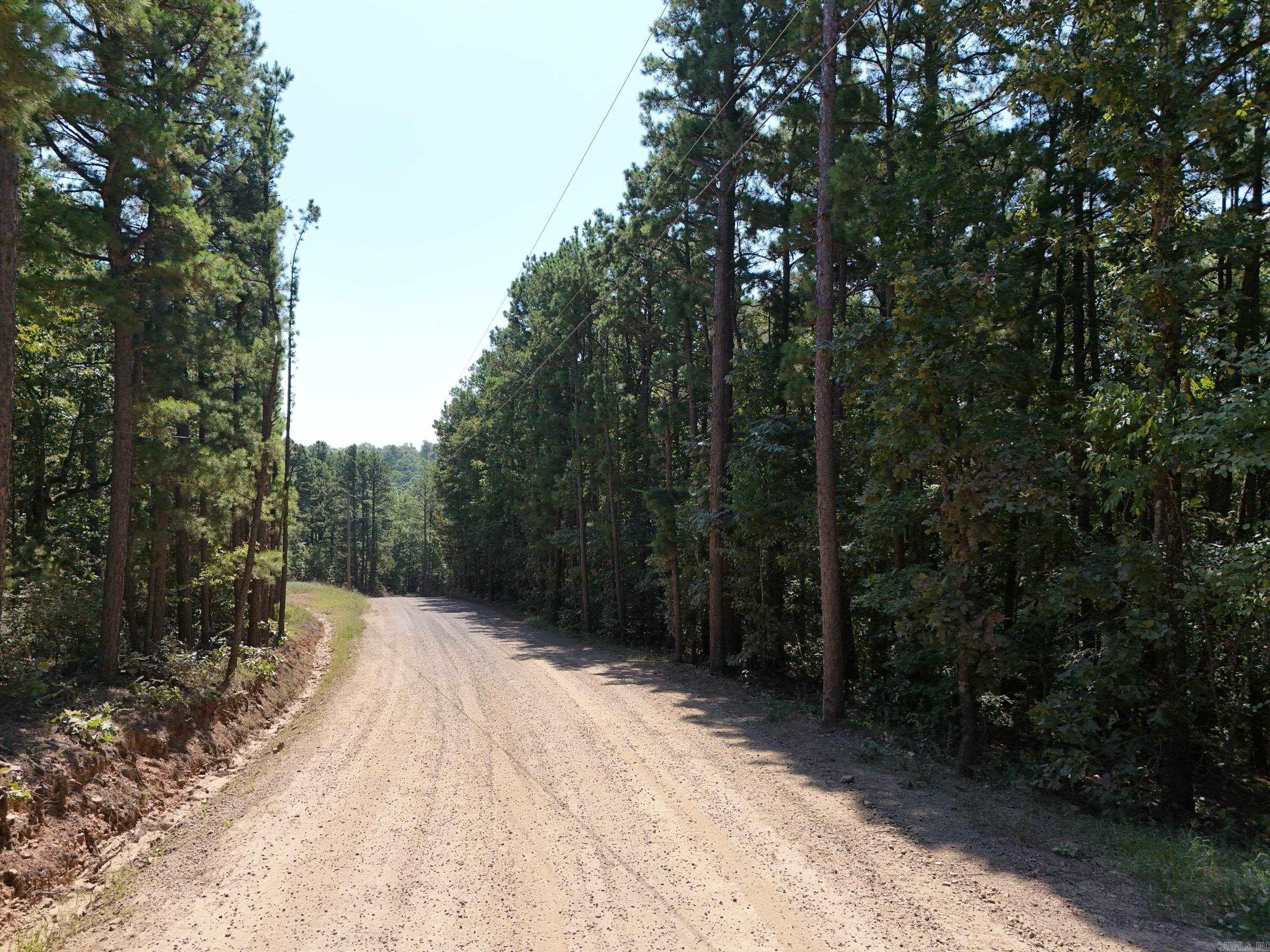 00 Long Branch  Bee Branch, AR