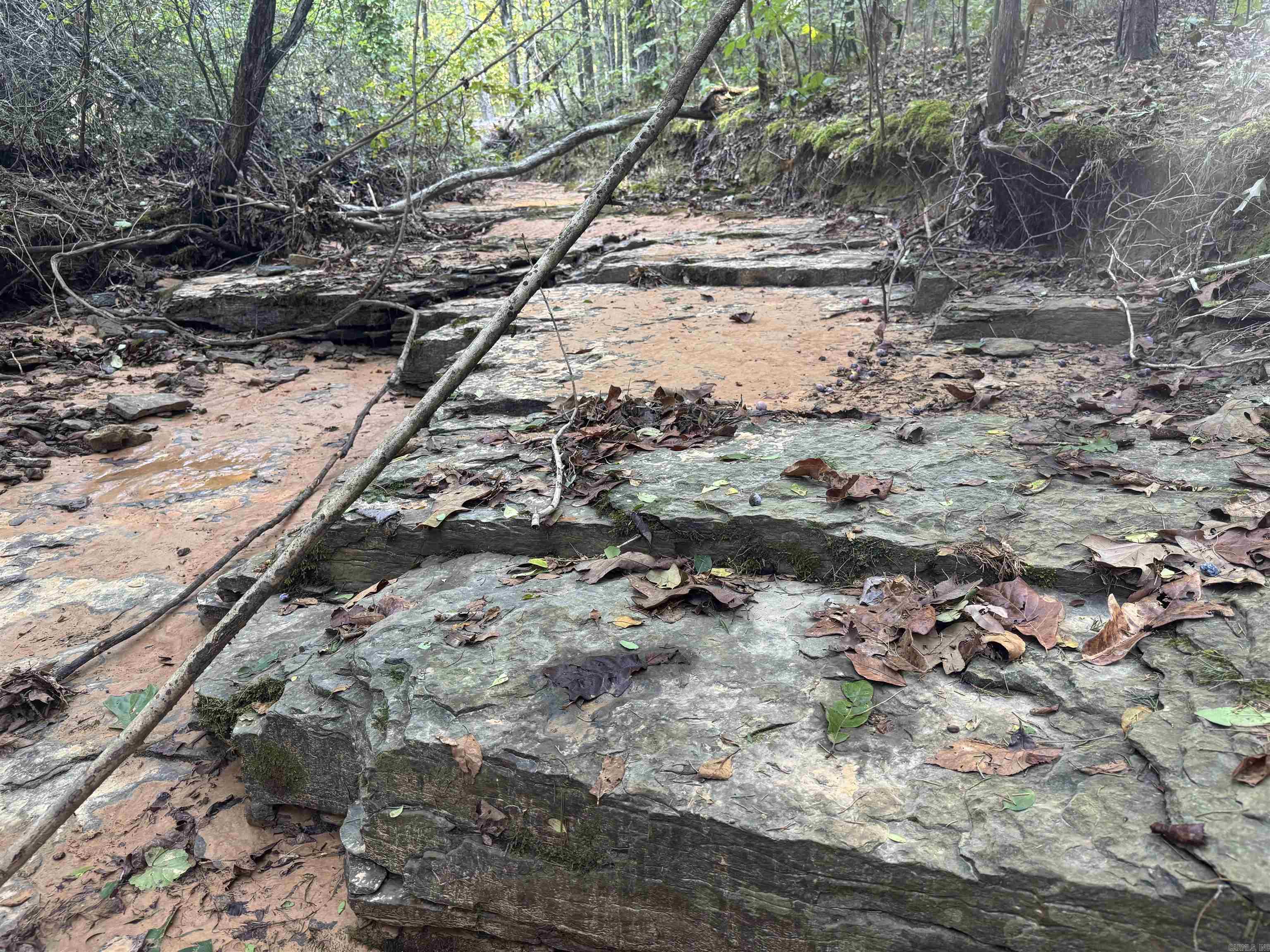 00 Long Branch  Bee Branch, AR