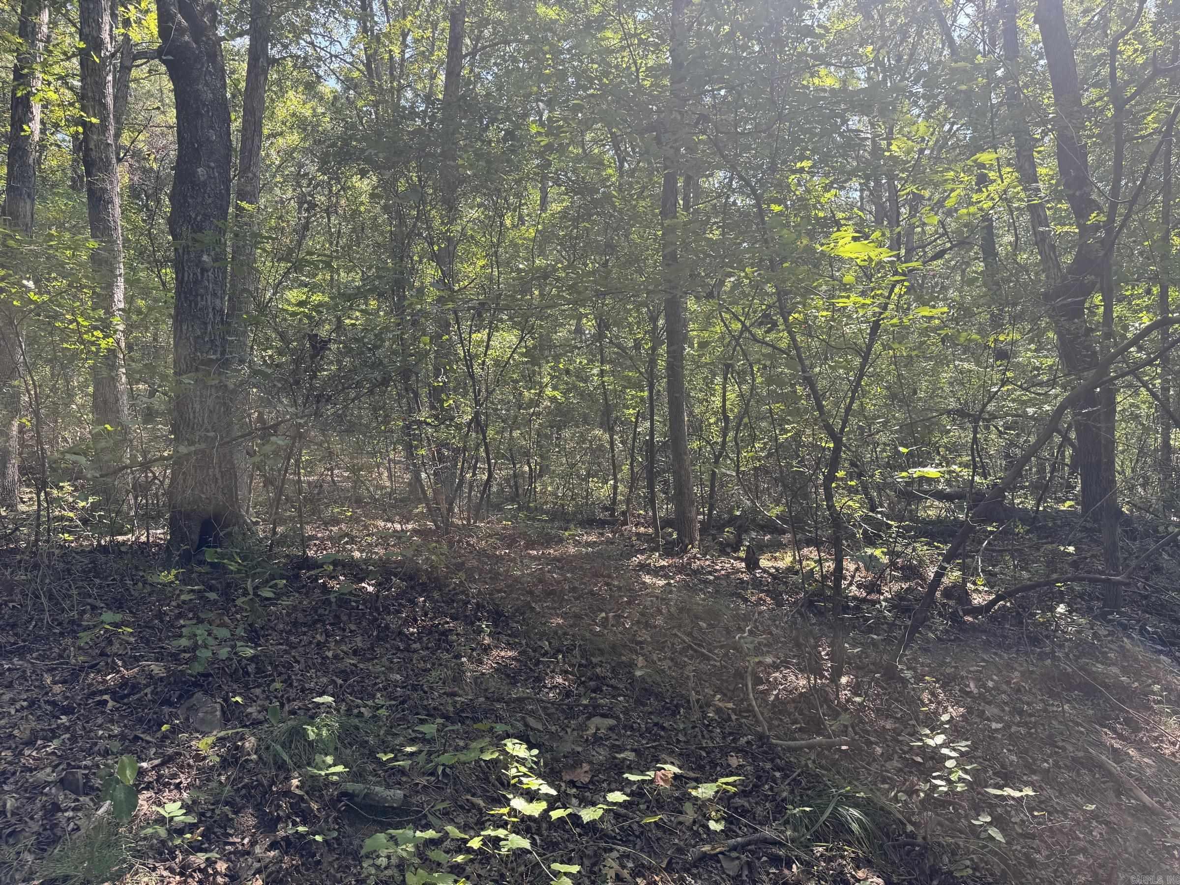 00 Long Branch  Bee Branch, AR