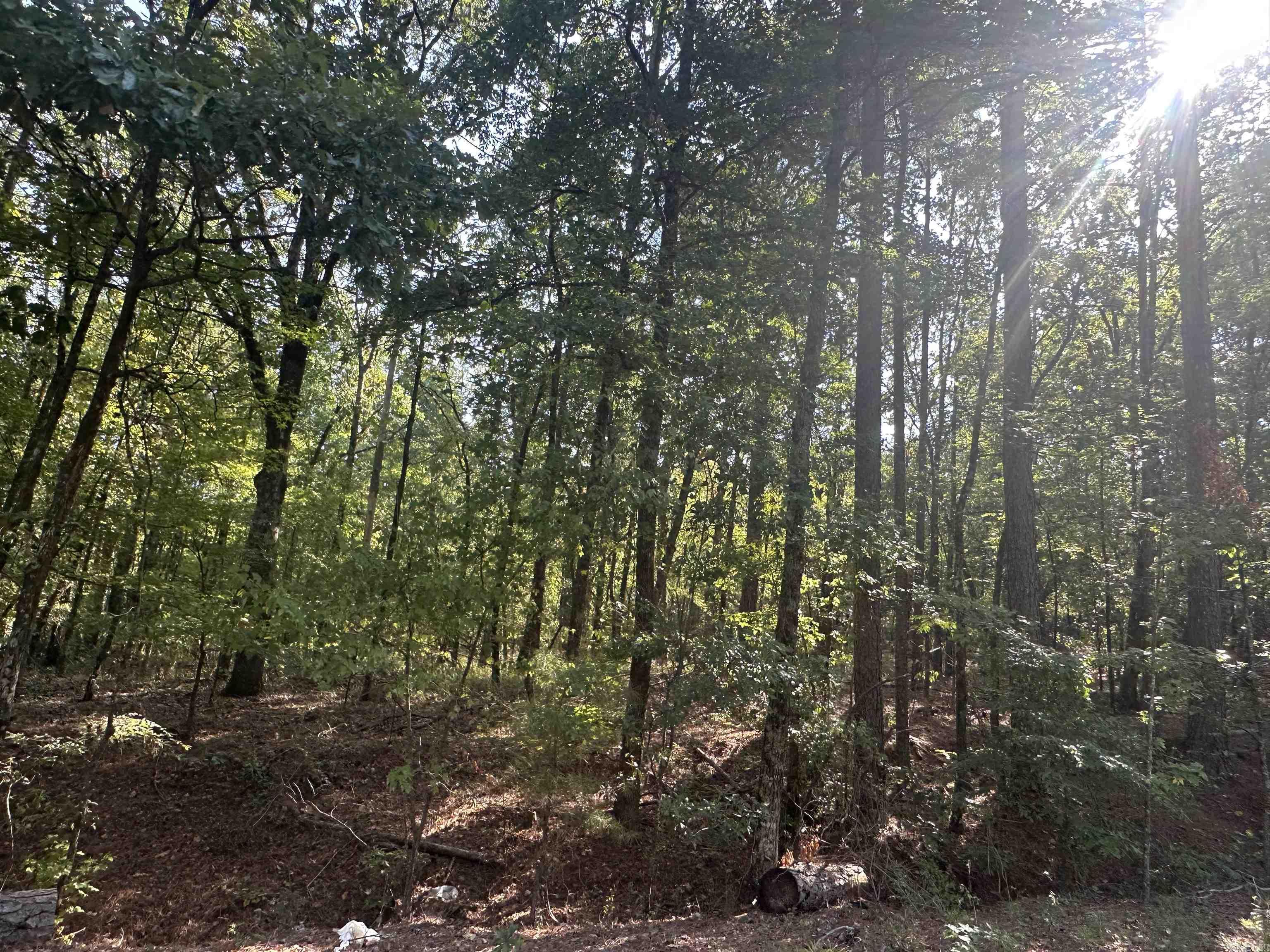  AVALON  Star City, AR